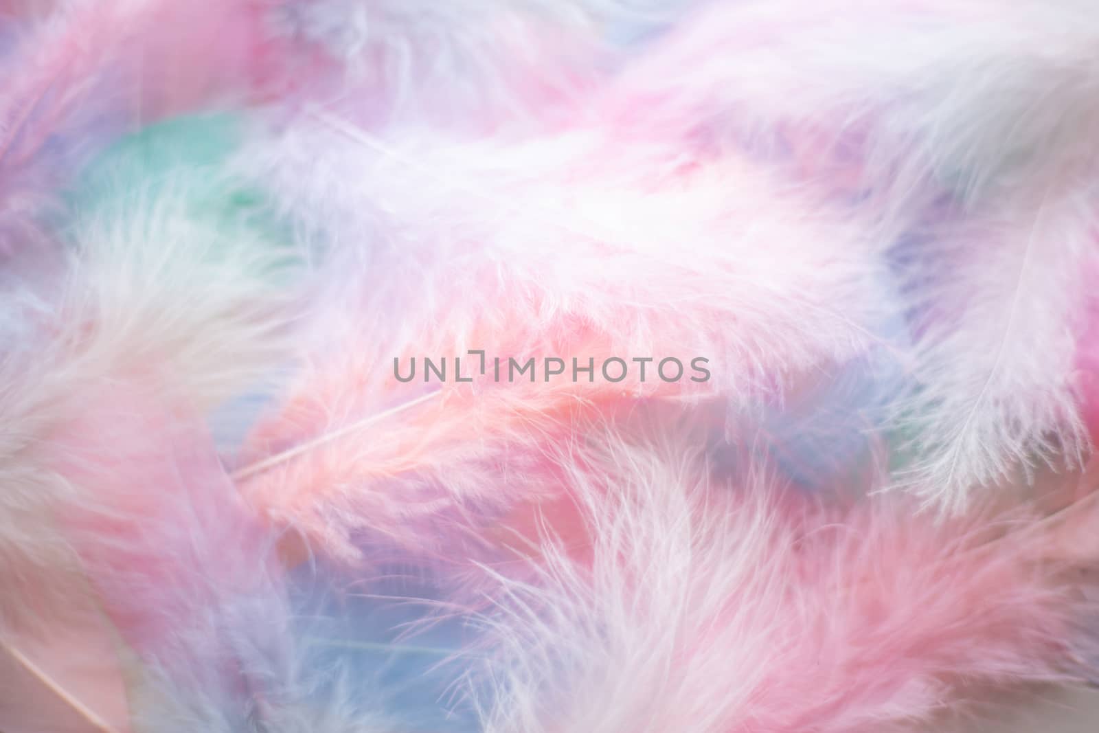 Color feather texture background by destillat