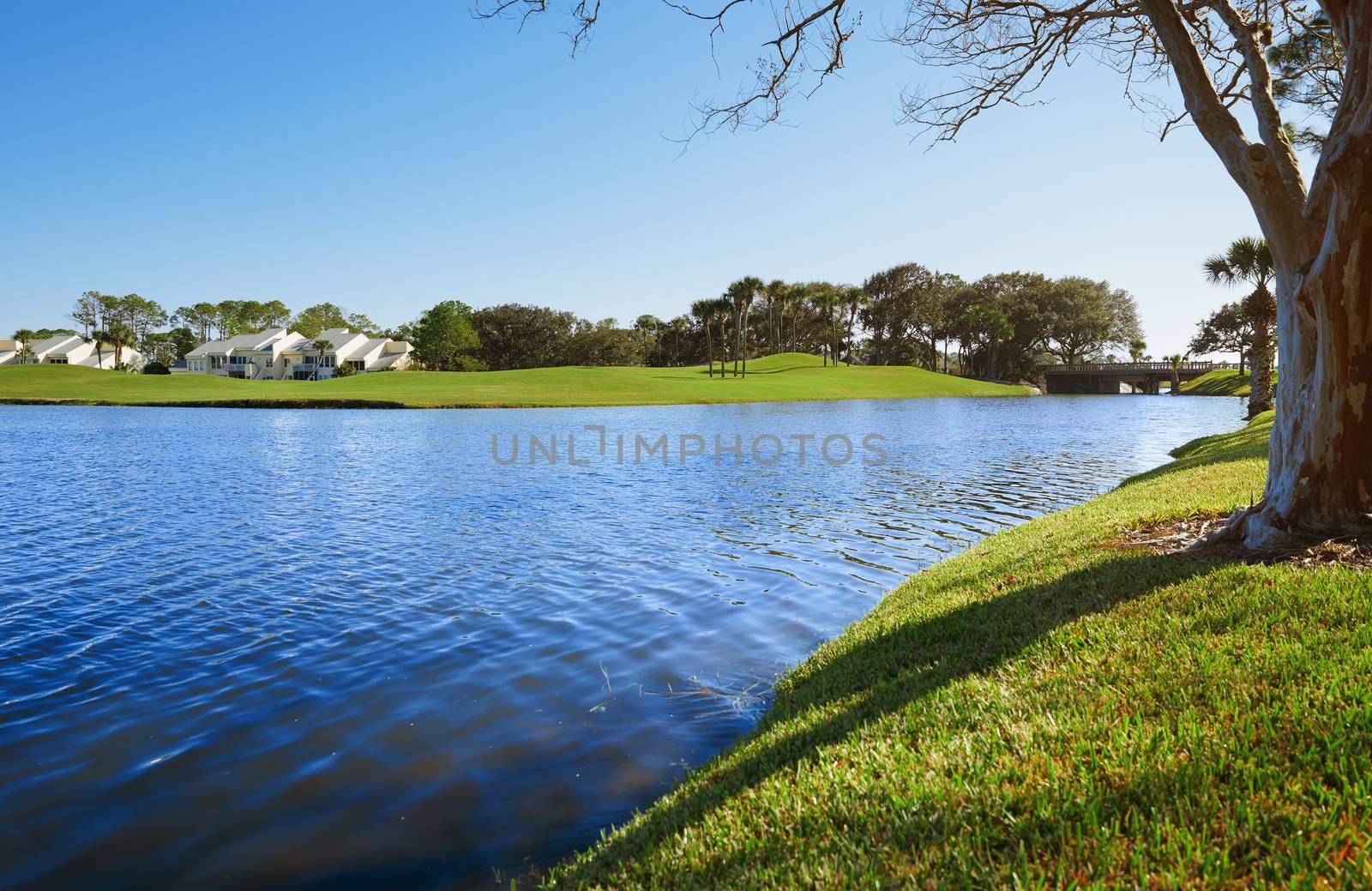 Lake in residential district, Florida, USA by Novic