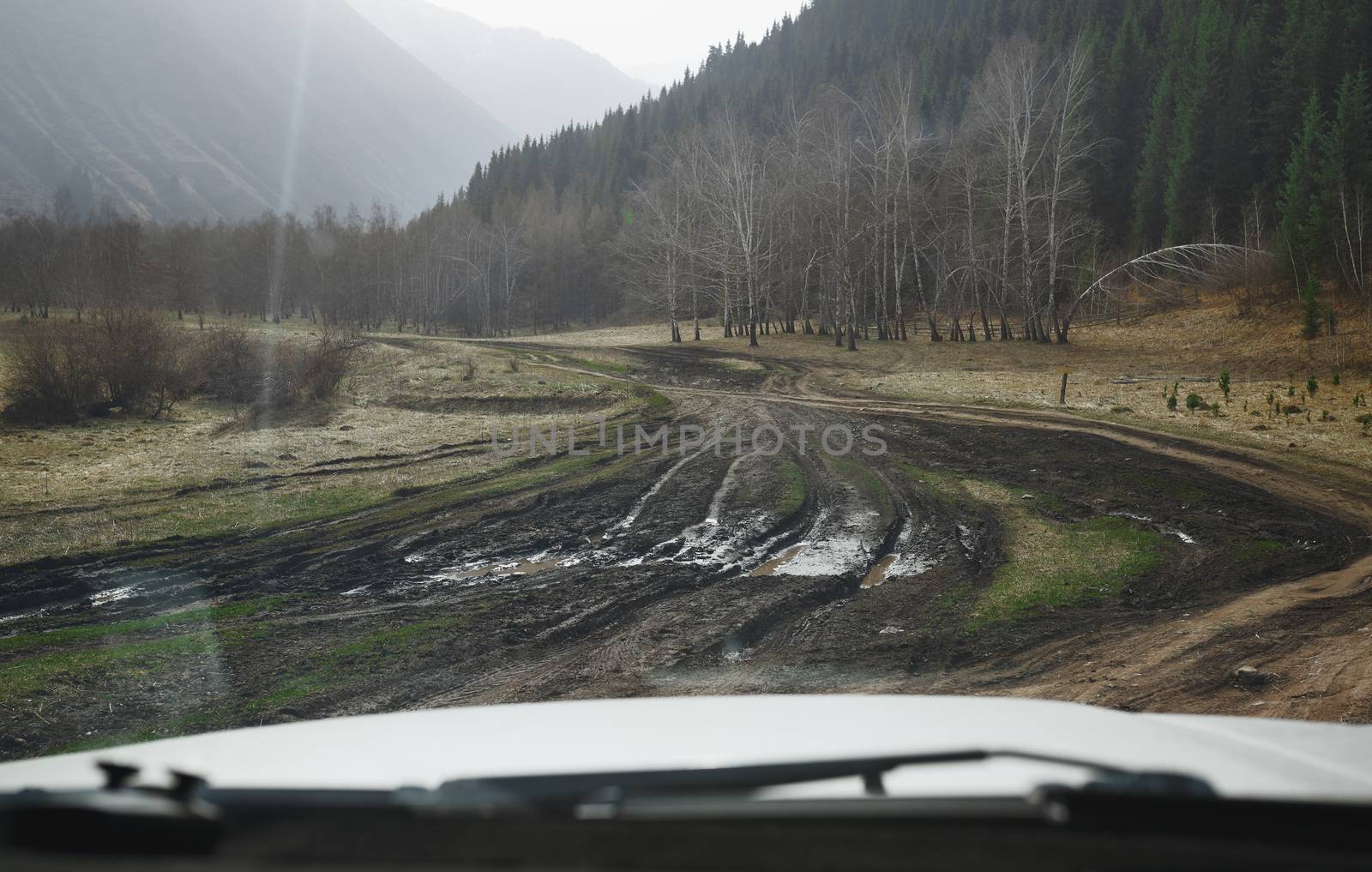 Road trip through the nature of Europe. Car point of view