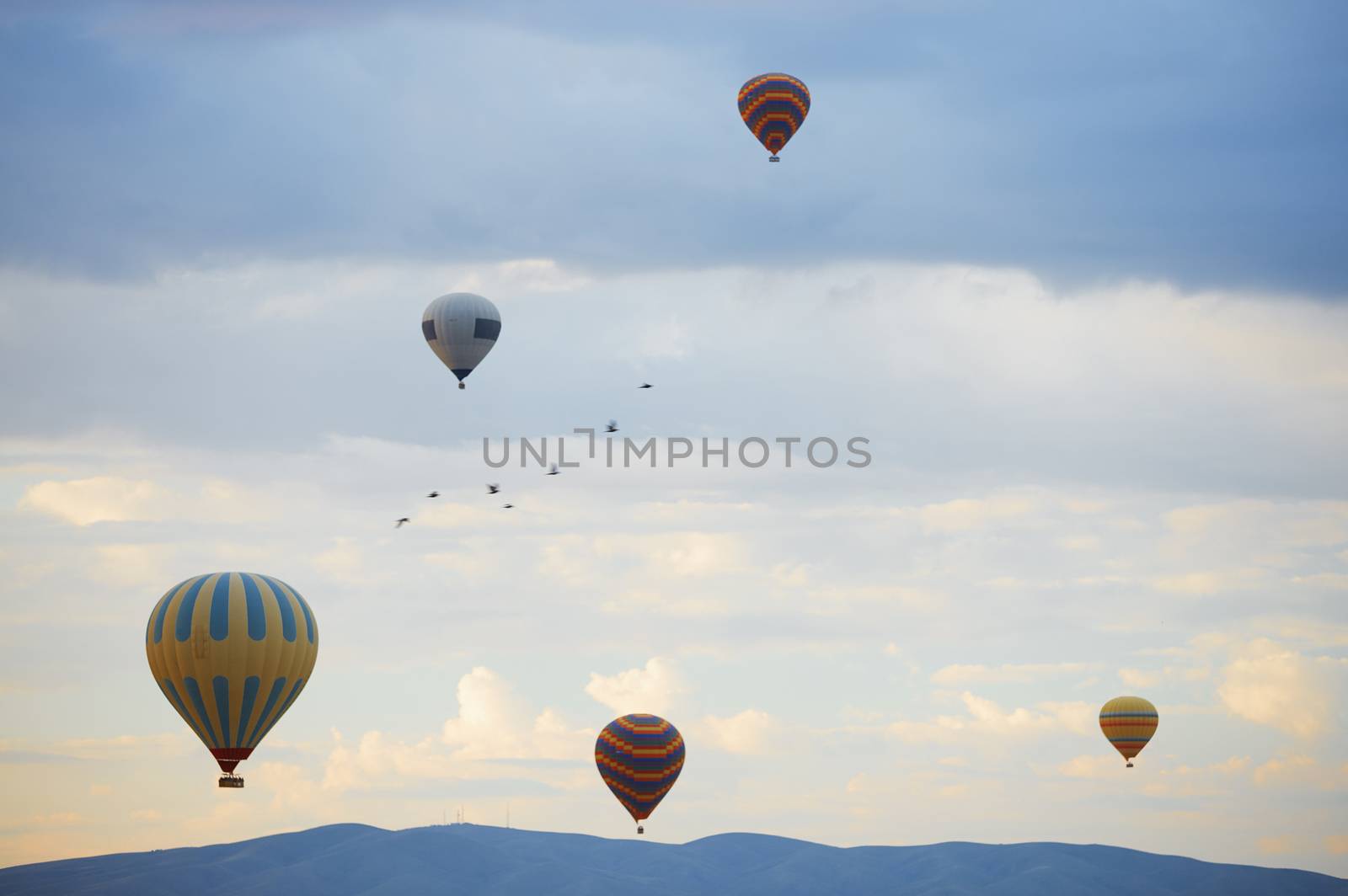 Hot air balloons and birds flying over the mountains by Novic