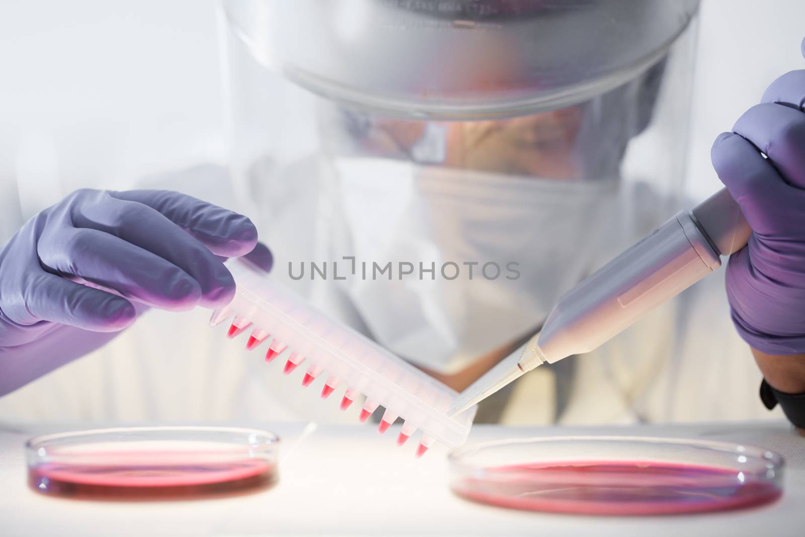 Scientist working in the corona virus vaccine development laboratory research with a highest degree of protection gear. by kasto