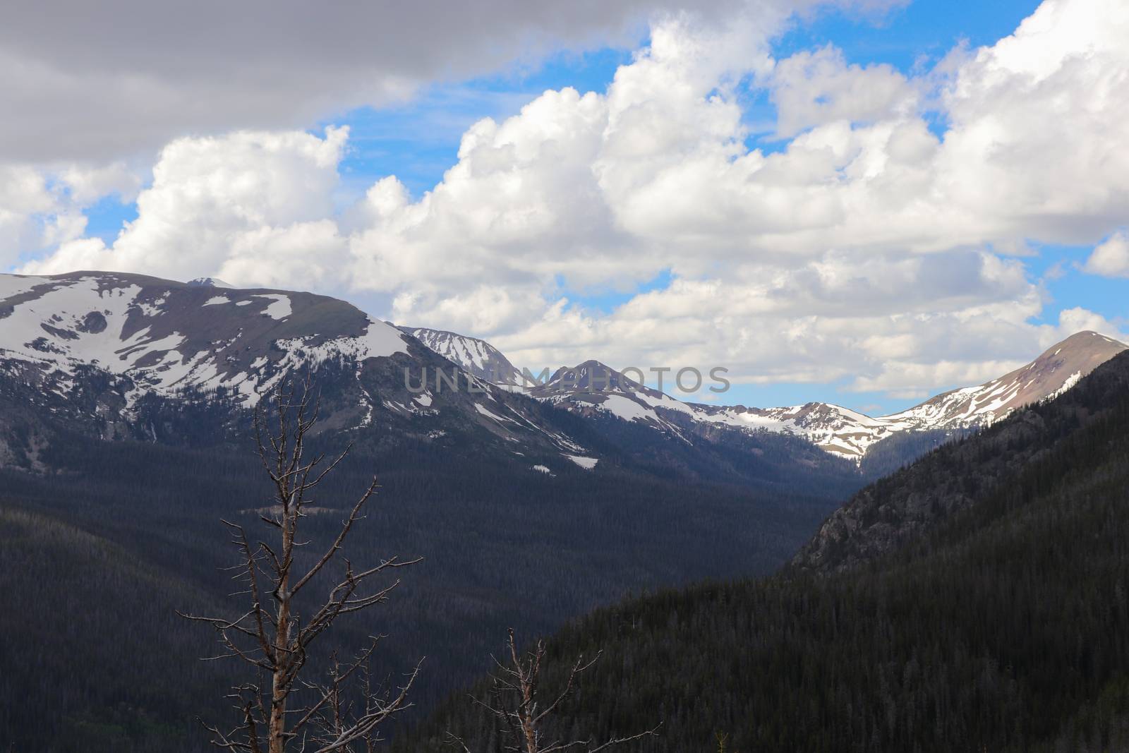 A hiking trail view of the snow covered Colorado mountains by gena_wells