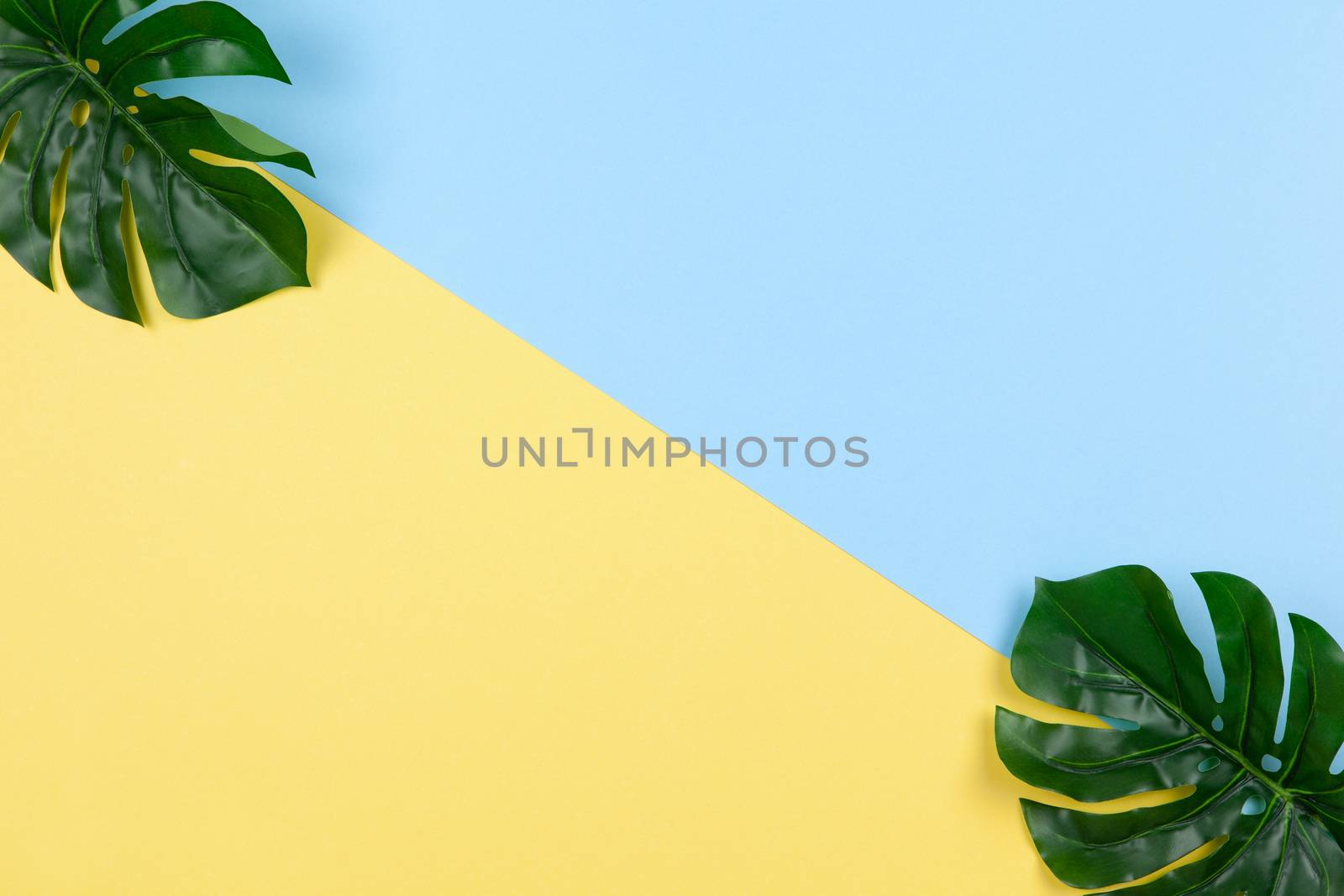 Frame of monstera leaves on two-color background yellow and blue, copy space. Minimalism flat lay. For lifestyle blog, social media. Freelance, planning of vacation, travel, sales concept. Horizontal.