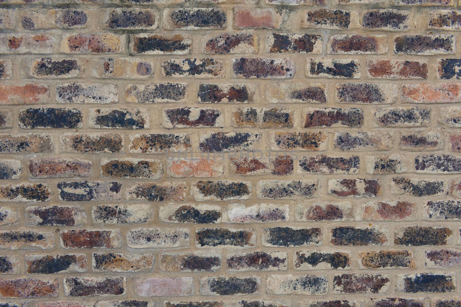 Raw clay brick and cement mortar wall face frame, South Africa