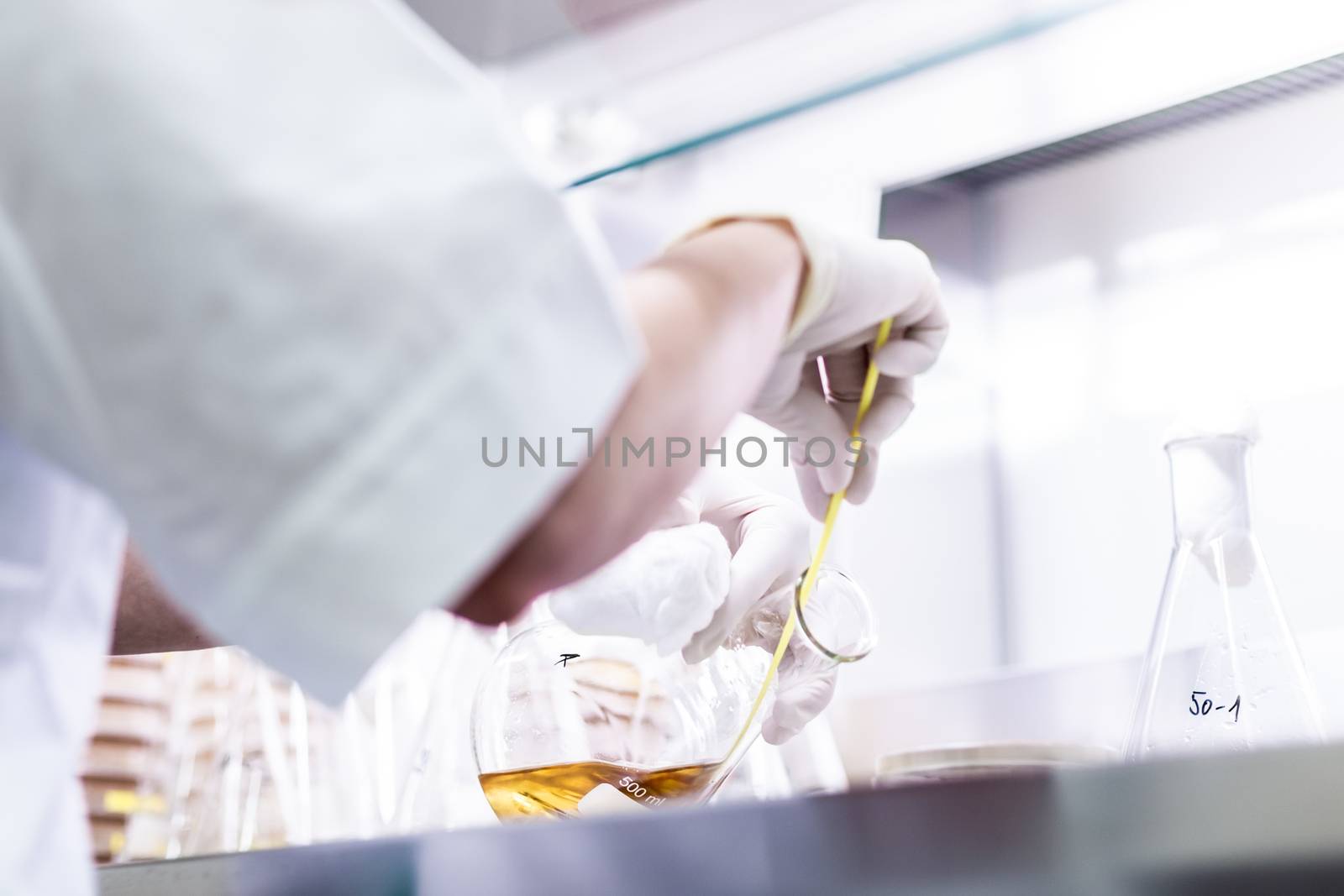 Female scientist working with laminar flow at corona virus vaccine development laboratory research facility. by kasto