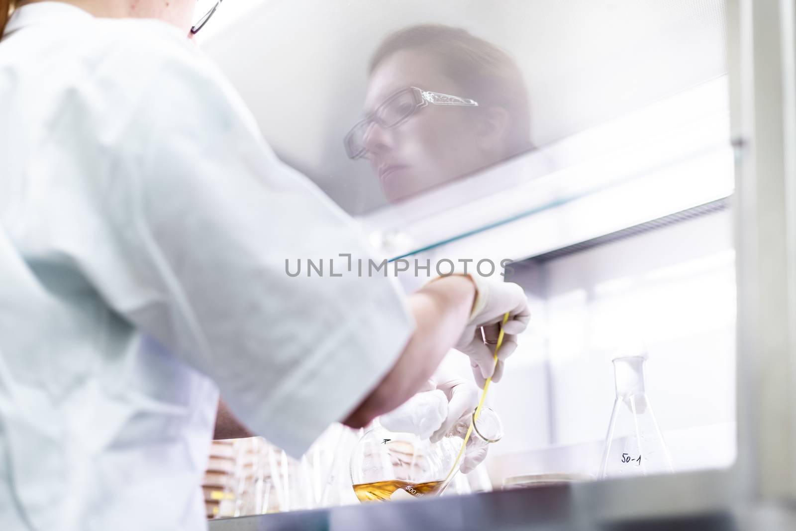 Female scientist working with laminar flow at corona virus vaccine development laboratory research facility. by kasto