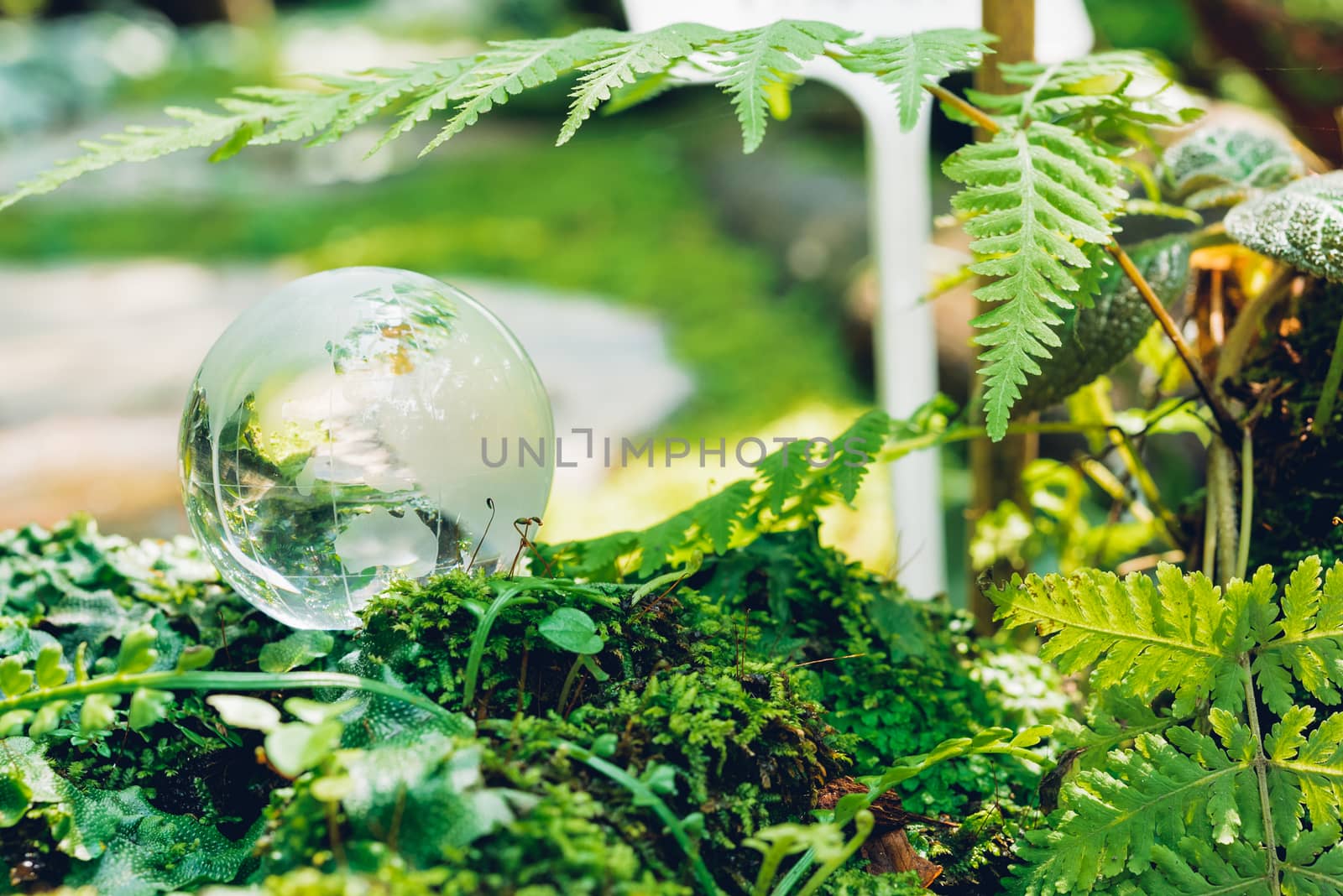 Globe glass in grass forest on nature background, Environment Day Concept
