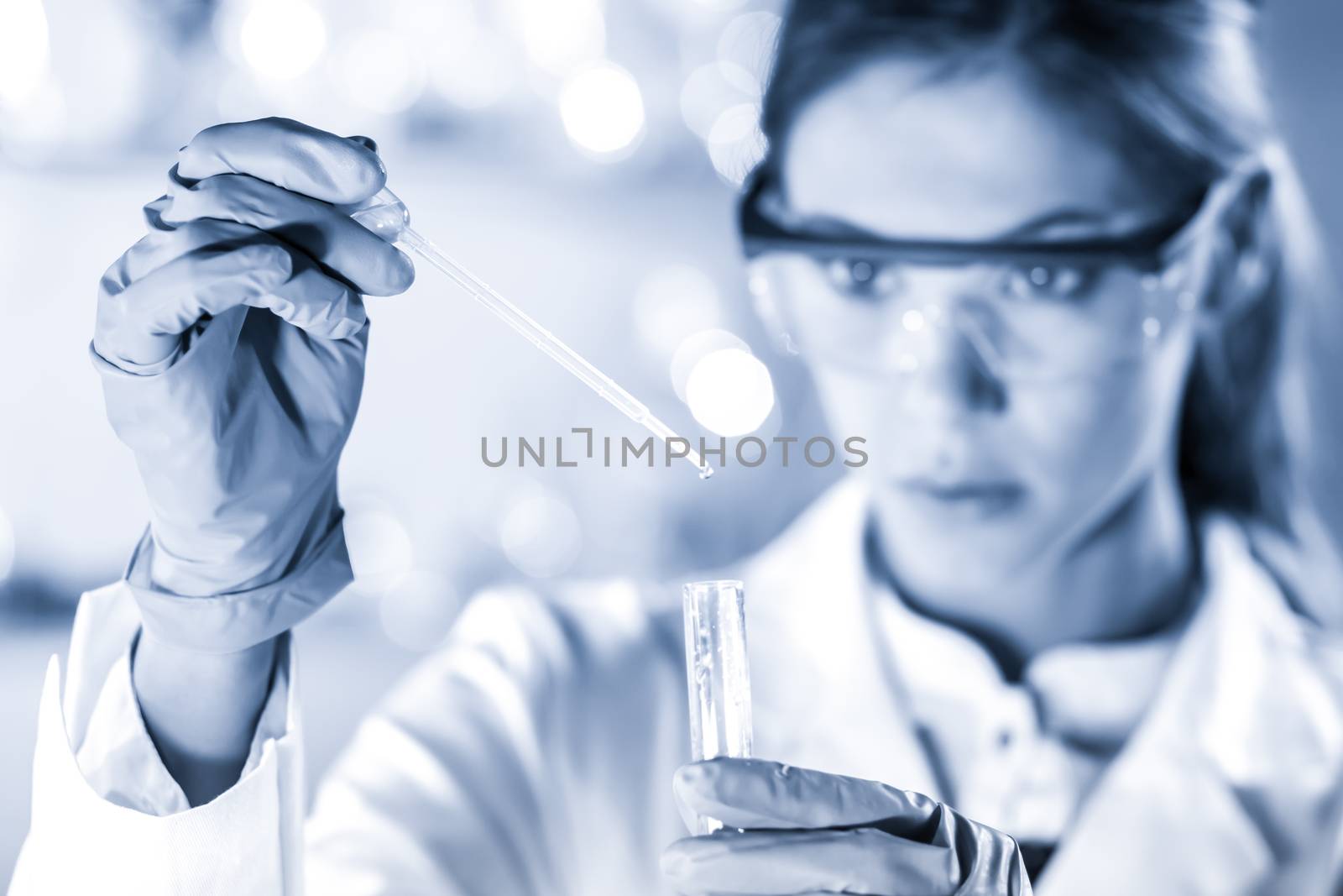 Life scientists researching in laboratory. Focused female life science professional pipetting solution into the glass cuvette. Healthcare and biotechnology concept. Blue toned image.