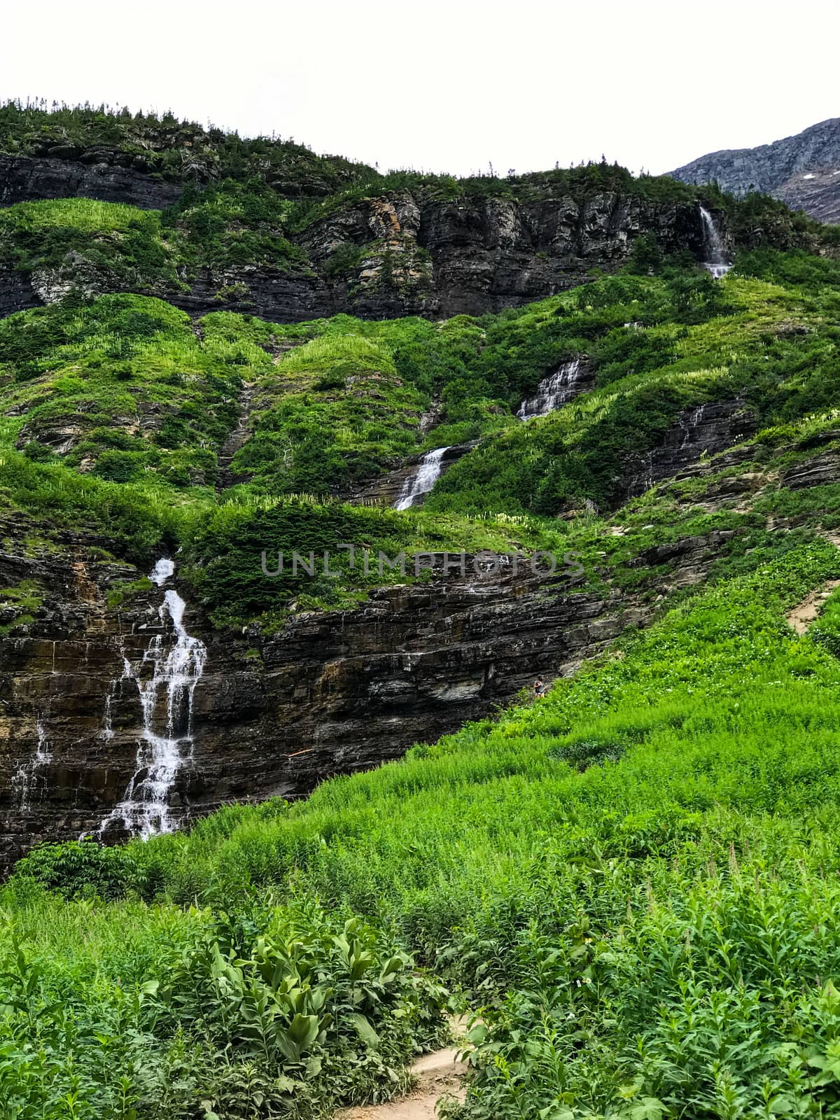 Glacier National Park Montana by charleshester