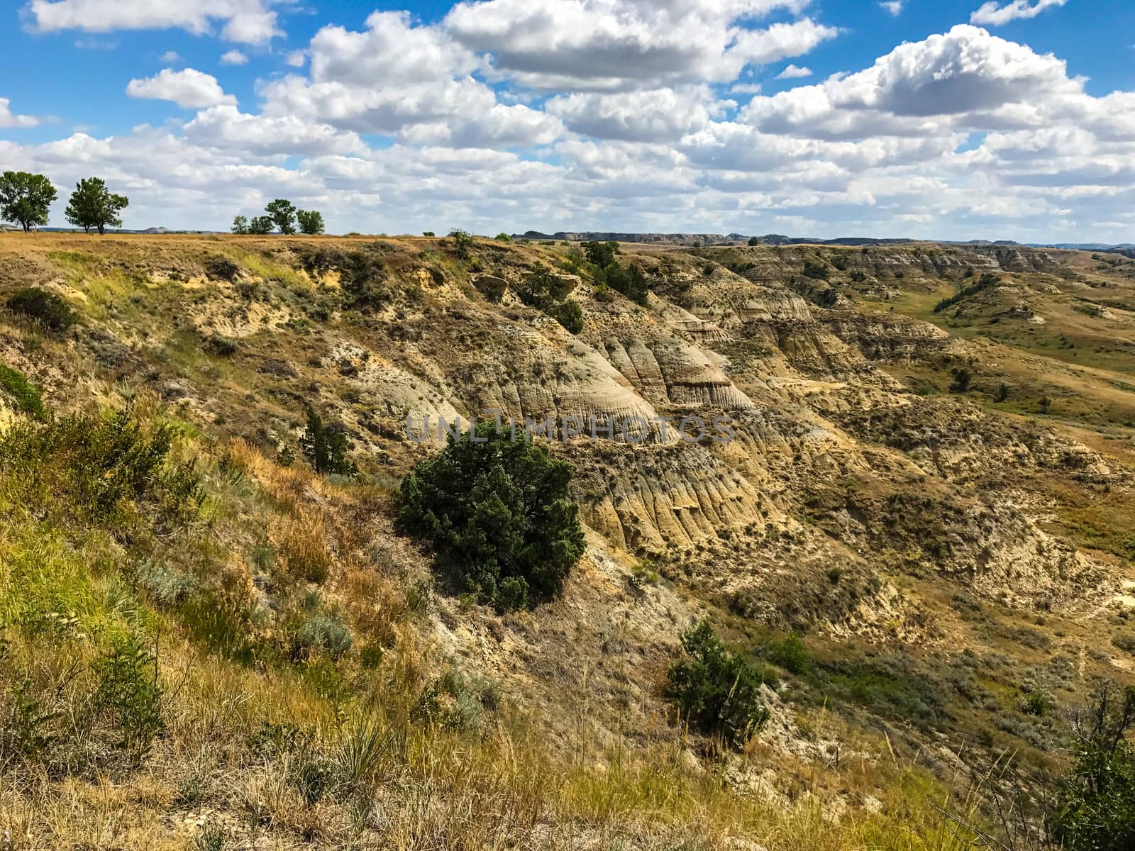 Theodore Rosevelt National Park north Dakota USA