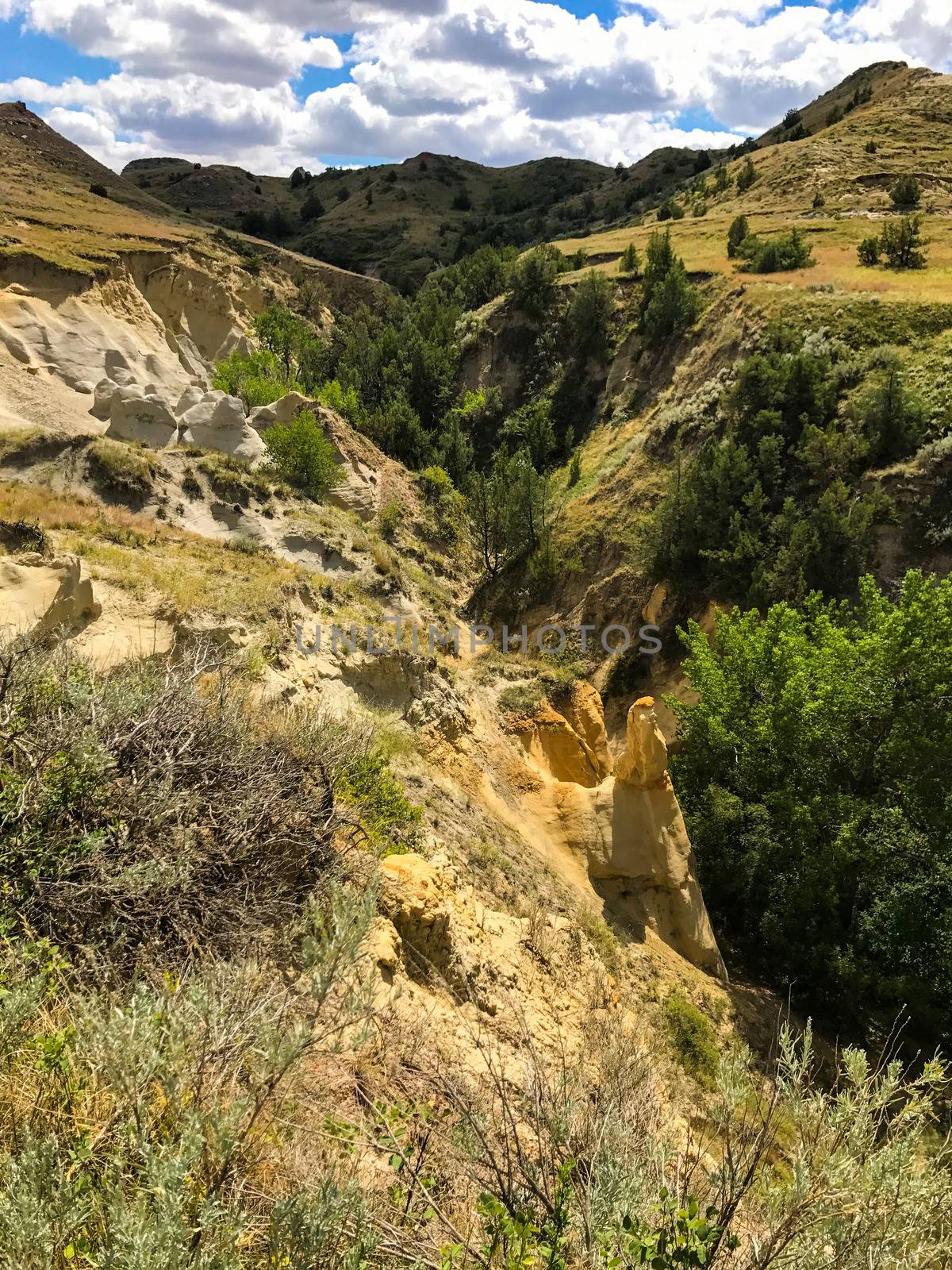 Theodore Rosevelt National Park north Dakota USA