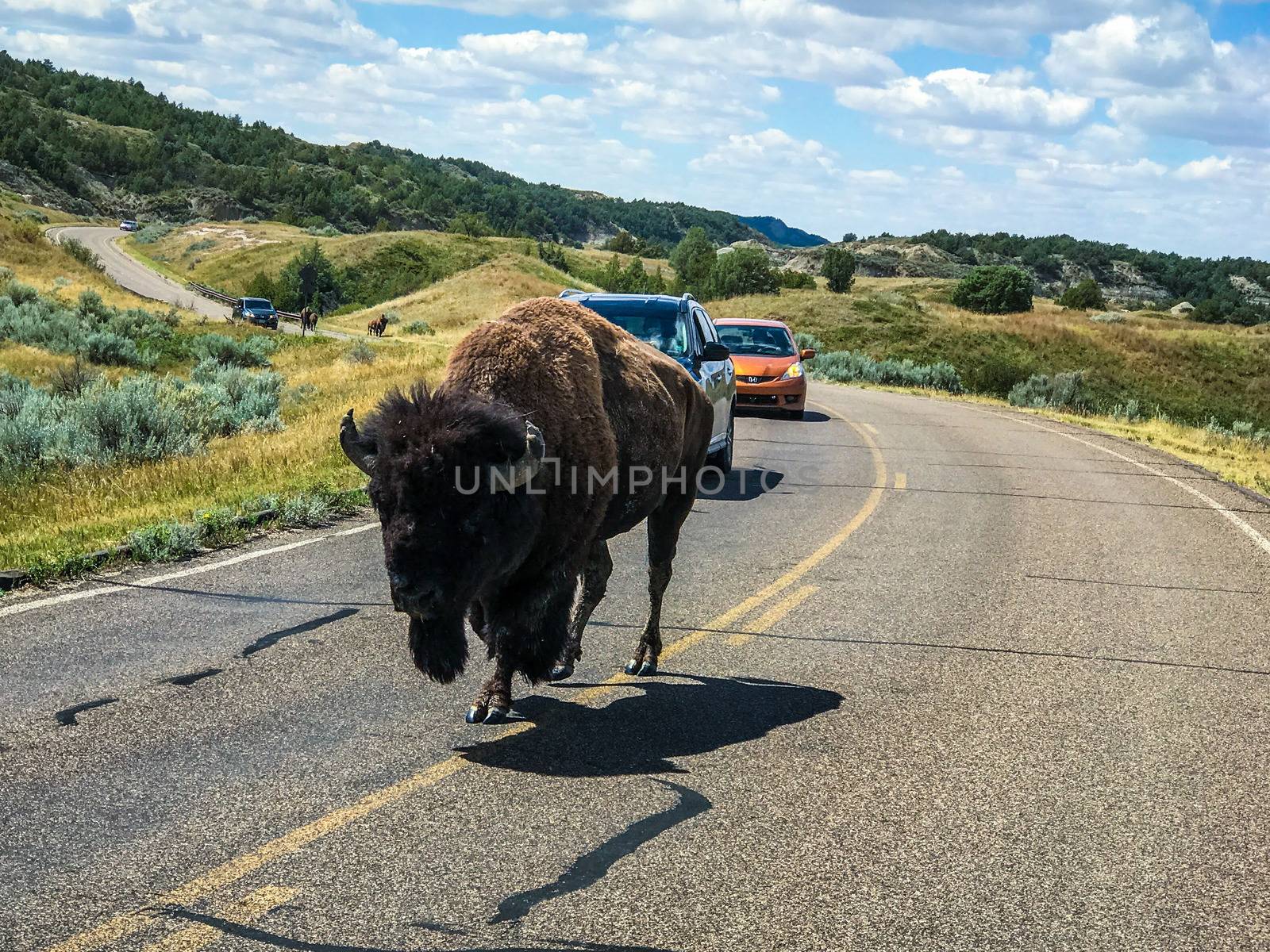 Theodore Rosevelt National Park north Dakota USA