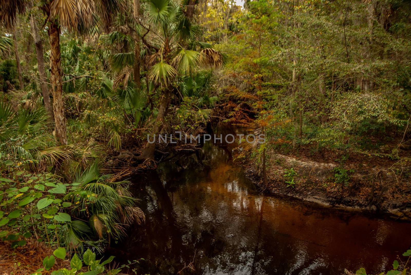 bear creek nature trail by charleshester