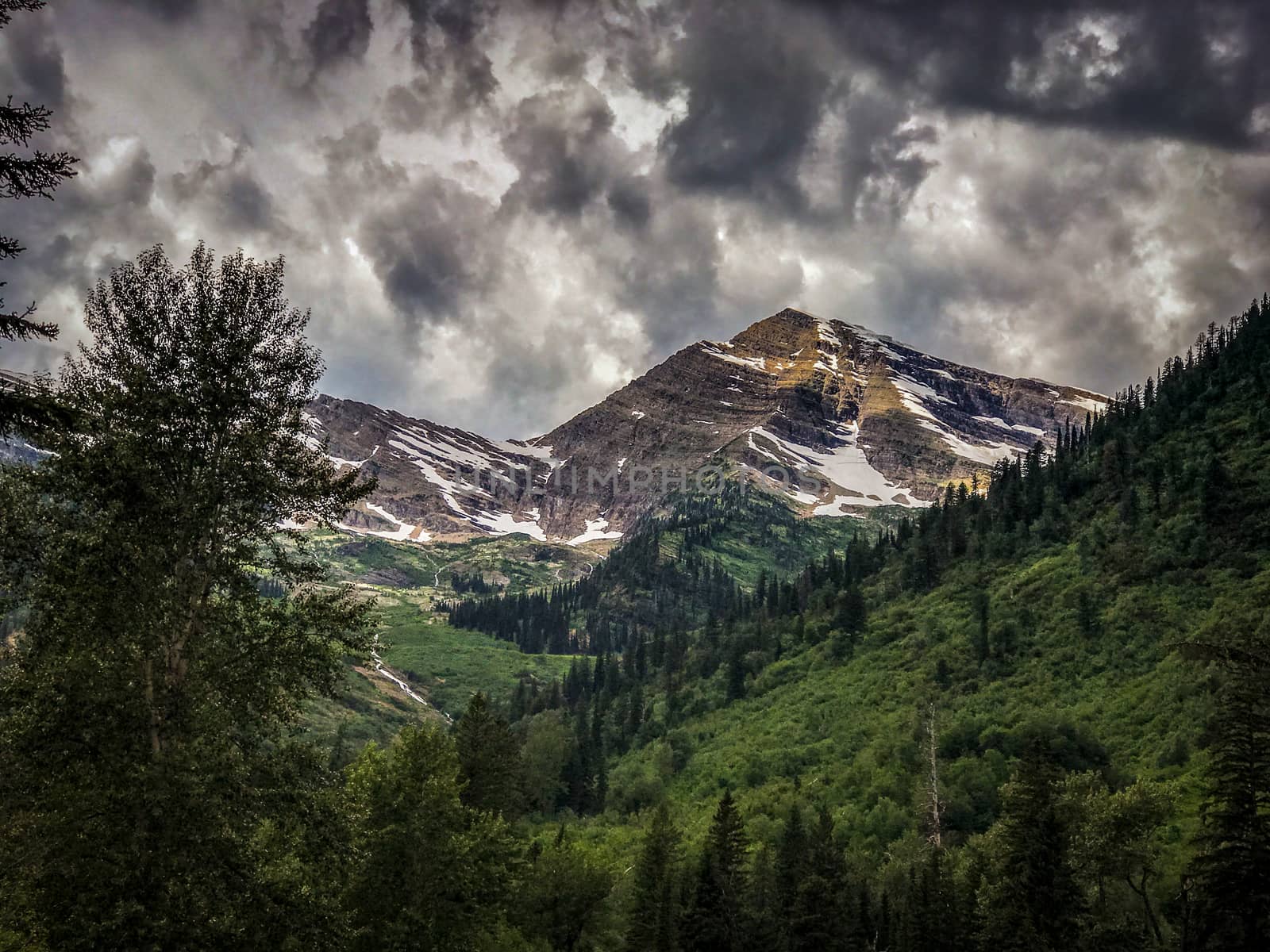 Glacier National Park Montana Rocky Mountains usa