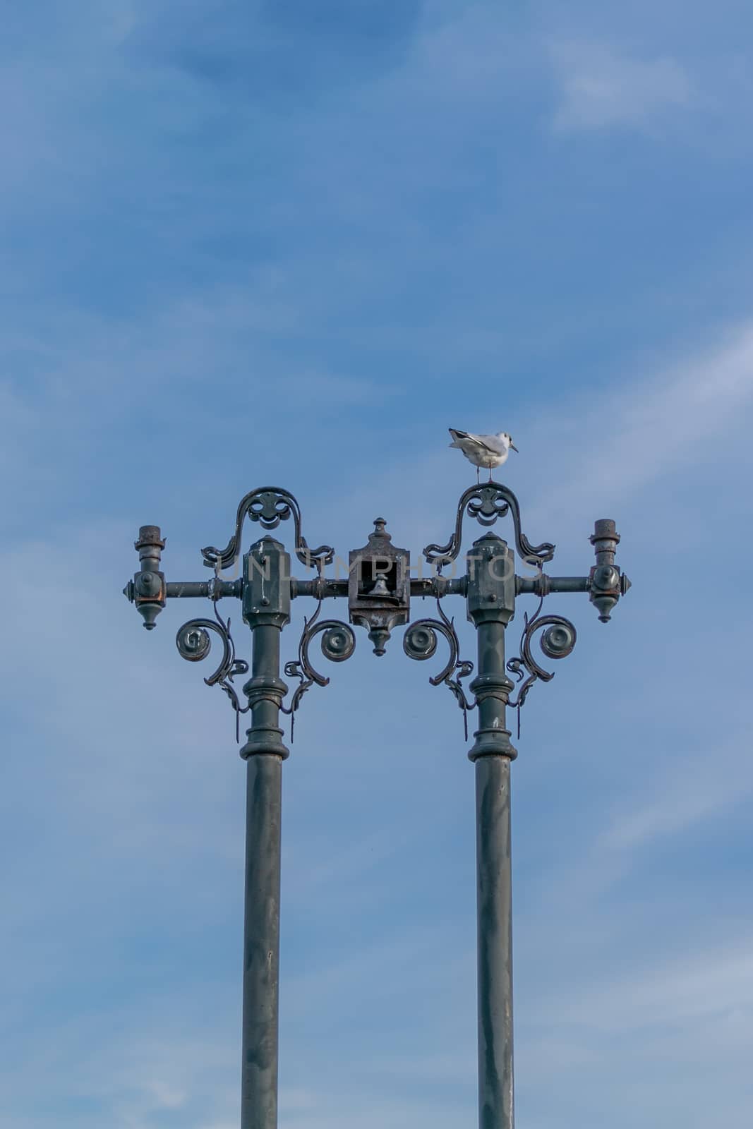 A seagull standing on an old lamp post with some interesting shapes and the sky in the background, Bucharest, Romania
