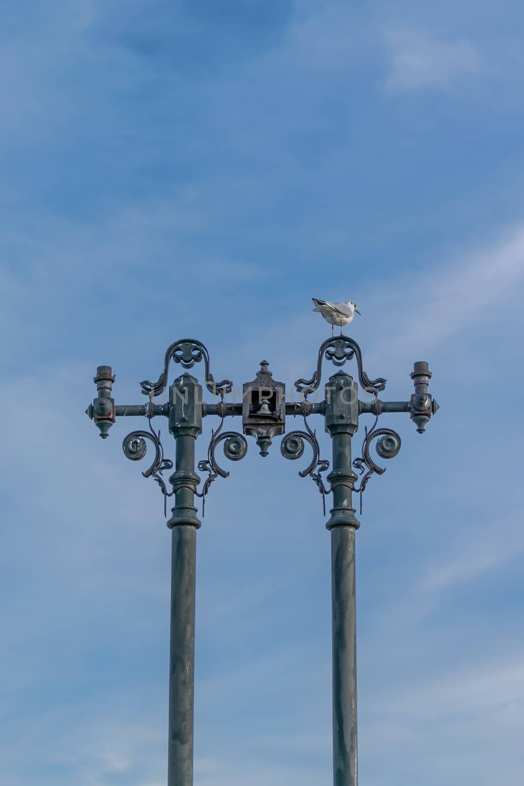 A seagull standing on an old lamp post with some interesting shapes and the sky in the background, Bucharest, Romania