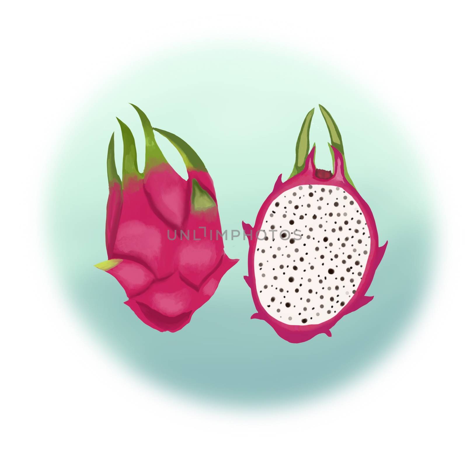  illustration of whole and half of Ripe exotic Dragon fruit. by Margolana