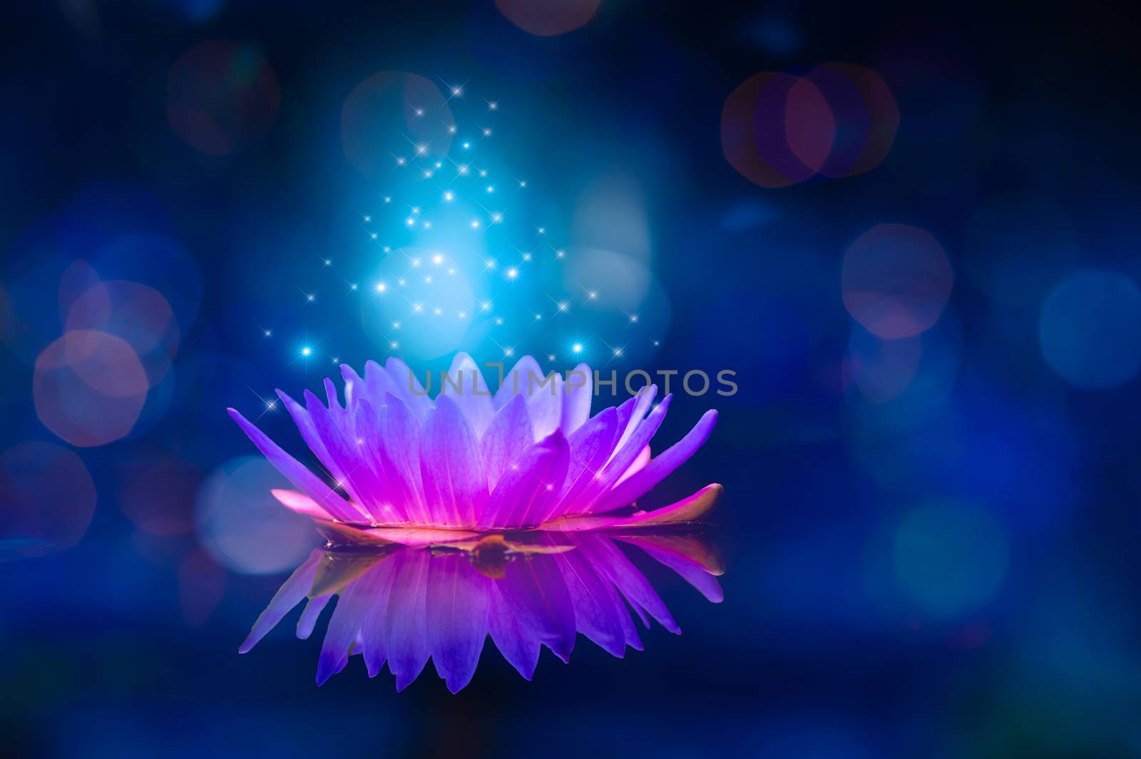 lotus Pink light purple floating light sparkle purple background by sarayut_thaneerat