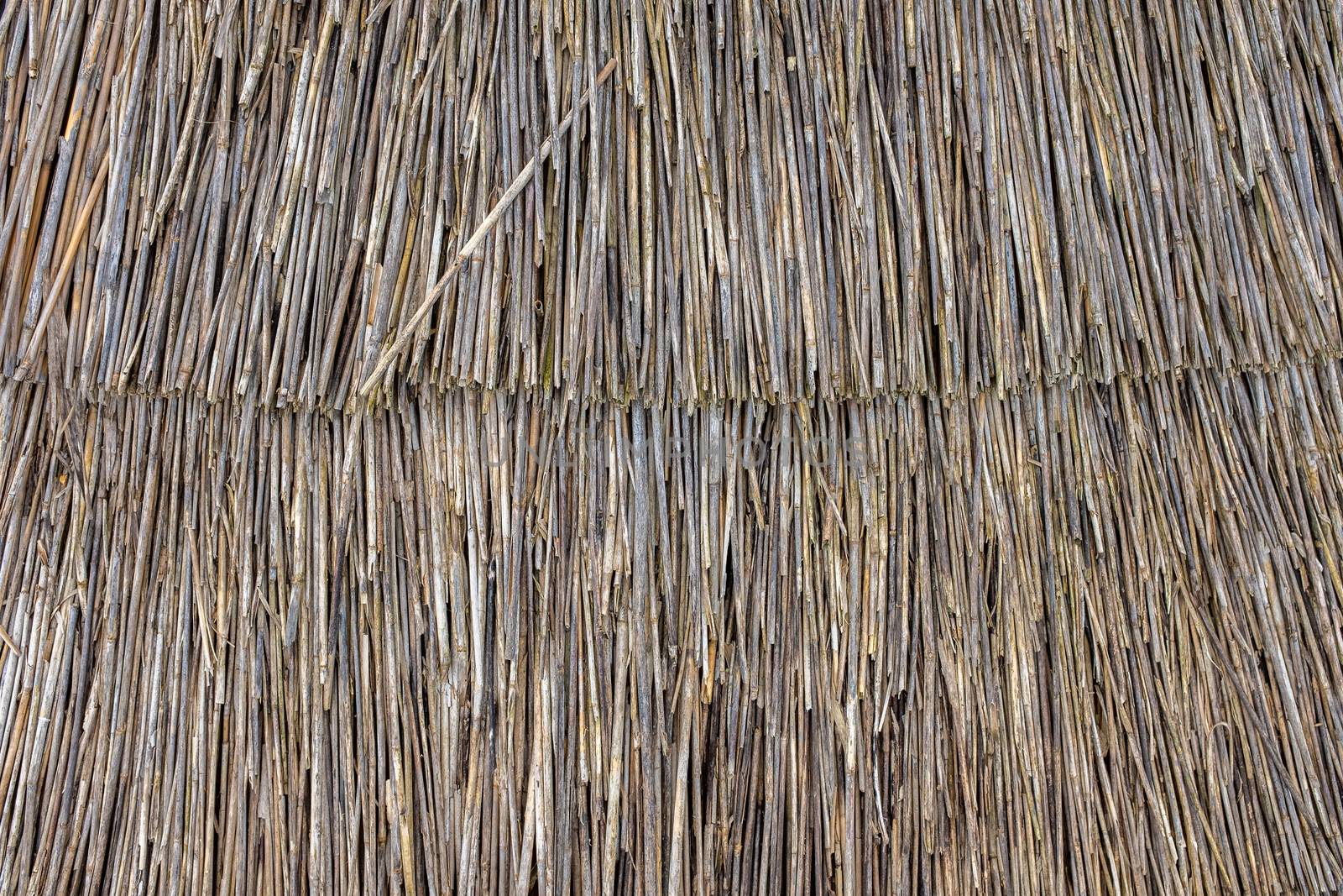 Abstract Background Texture Of A Thatched Roof, Thatch or Thatching