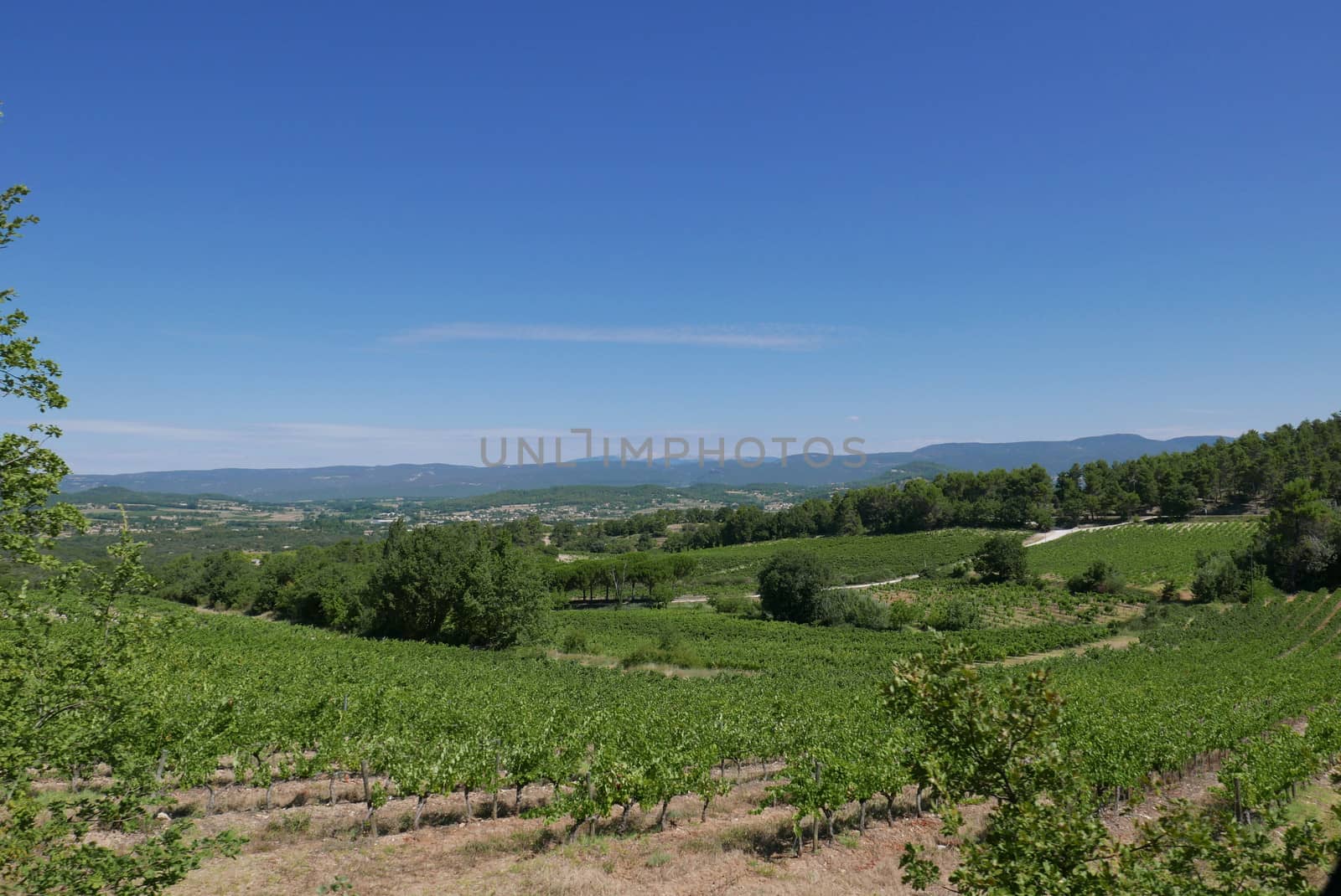 village of vaucluse, roussillon and bonnieux between vineyard and village, France