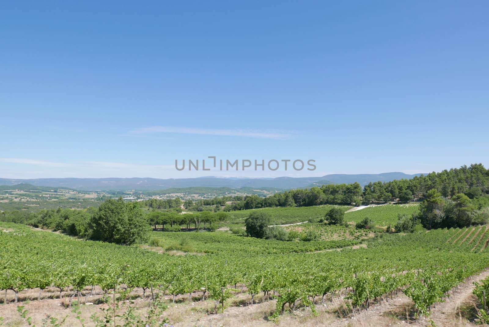 village of vaucluse, roussillon and bonnieux between vineyard and village, France