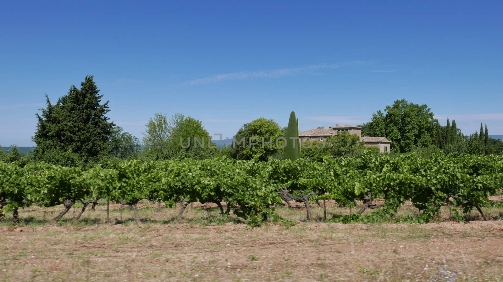 village of vaucluse, roussillon and bonnieux between vineyard and village, France