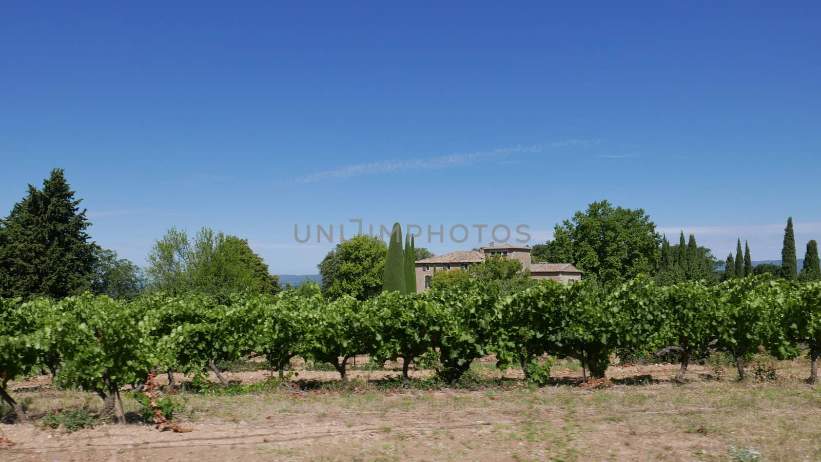 village of vaucluse, roussillon and bonnieux between vineyard and village, France