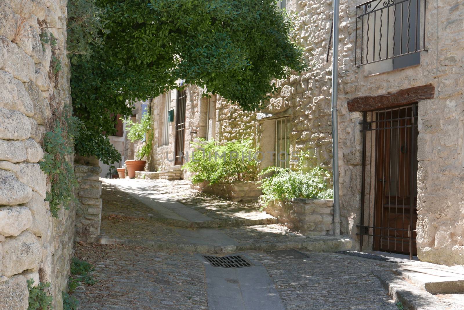village of vaucluse, roussillon and bonnieux between vineyard and village, France