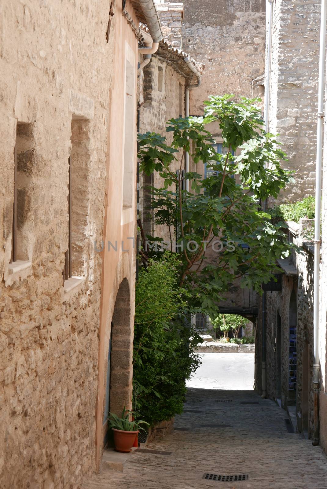 village of vaucluse, roussillon and bonnieux between vineyard and village, France