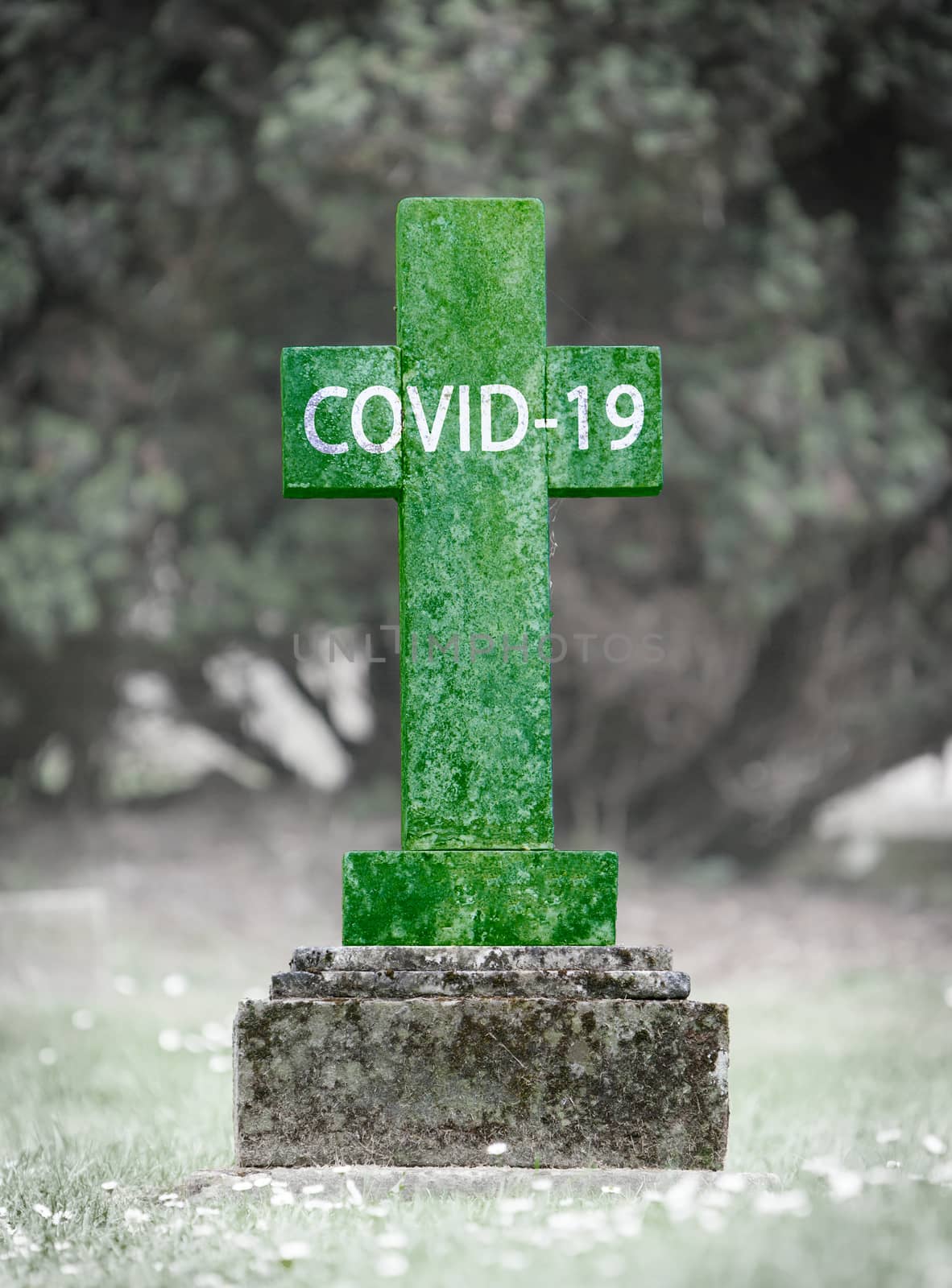 Casualty of the COVID-19, green grave, selective focus