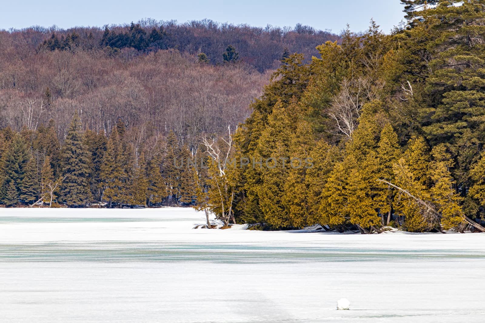A frozen lake, specifically Meech Lake near Chelsea, Quebec in Canada, appears surrounded by forest trees and covered in a layer of snow and ice.