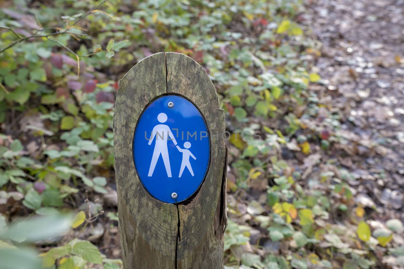 Sign parental supervision or walking area in the forest in blue
