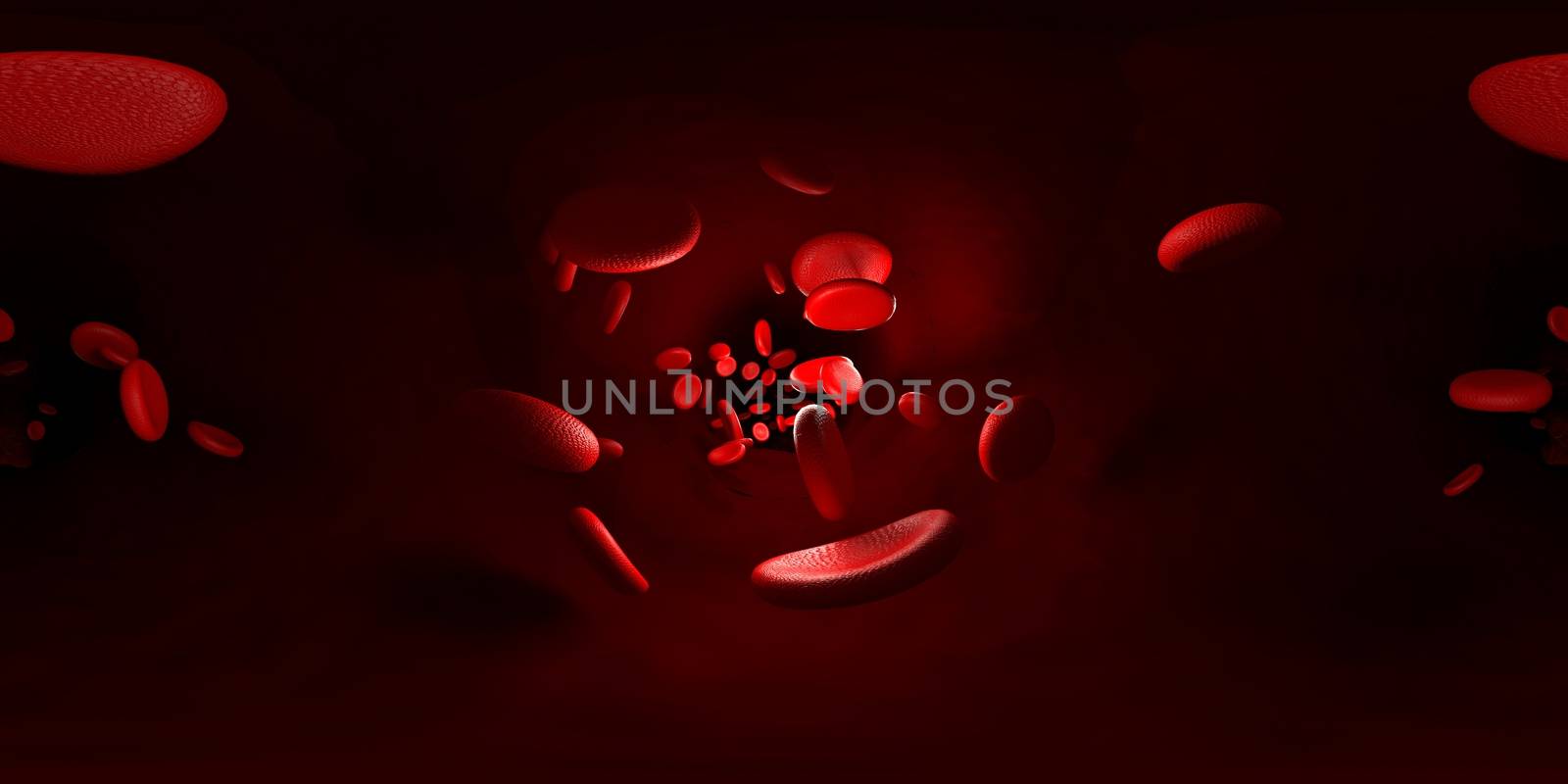 3d rendering of erythrocyte or red blood corpuscle.  Equirectangular  360 VR image.  The medical panoramic background.