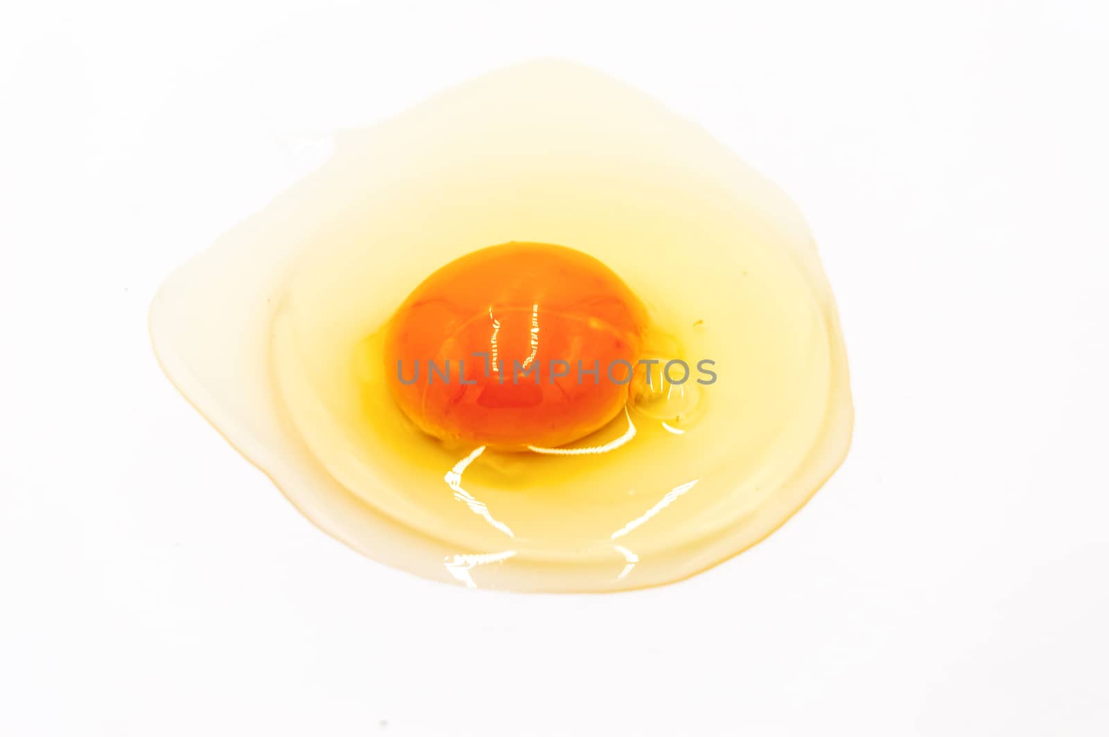 Egg yolk and white on white background