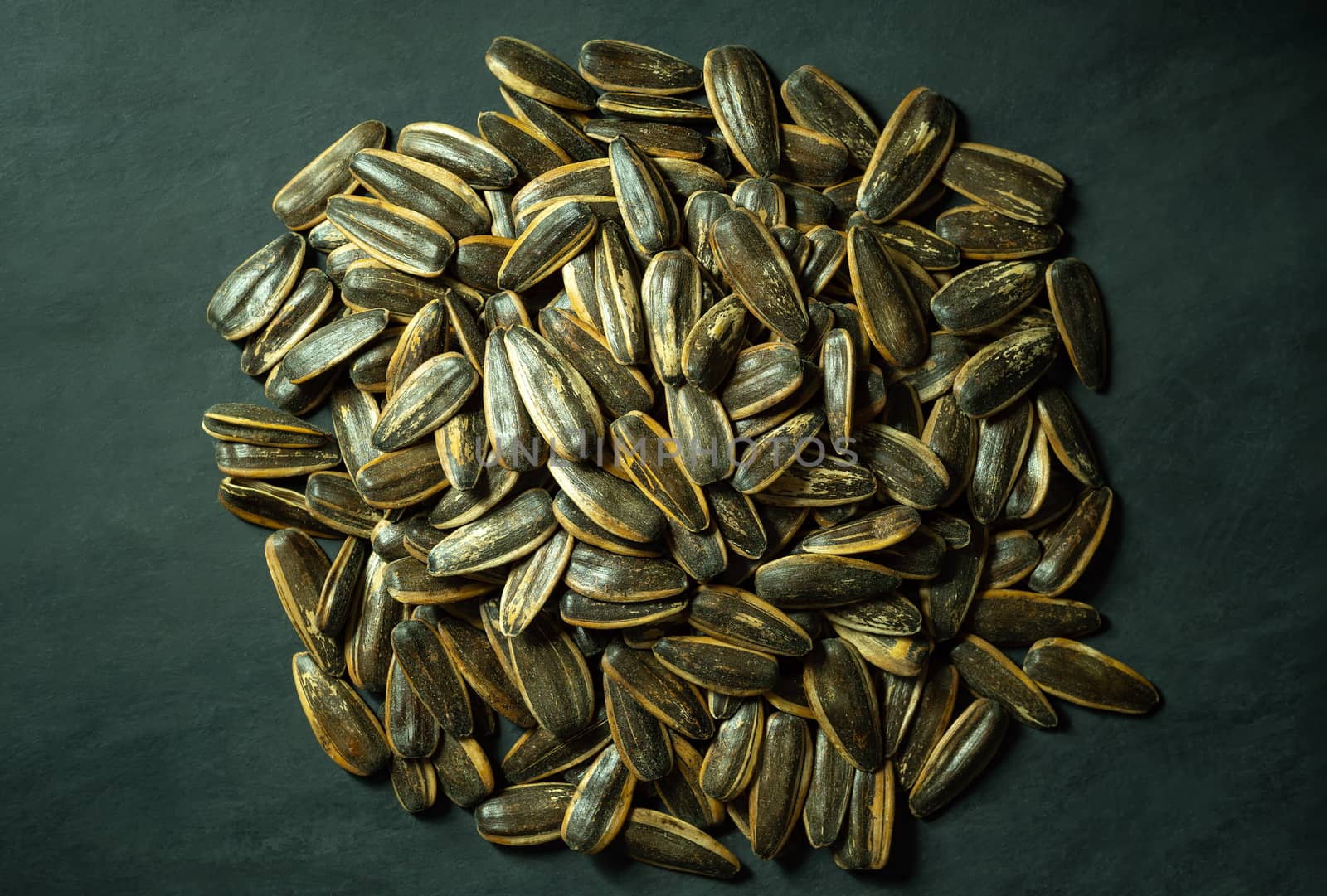 Sunflower seeds heap on black cement floor. Concept of healthy food and organic farm.