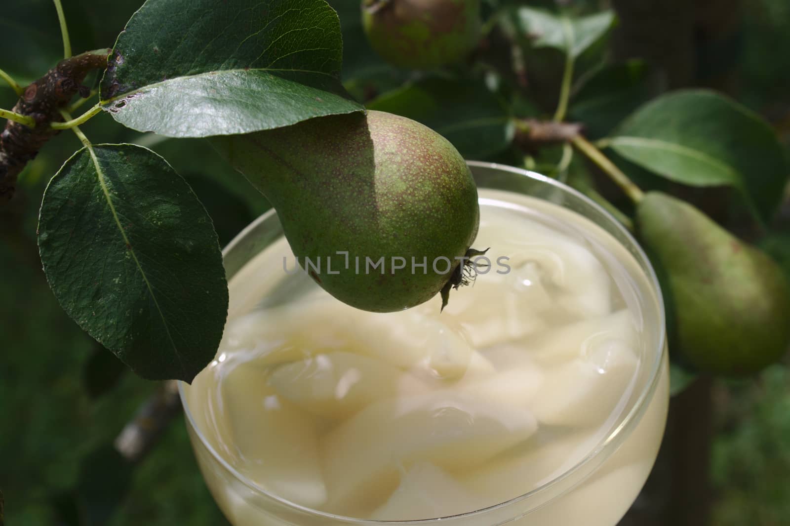 The picture shows a pear dessert on a pear tree