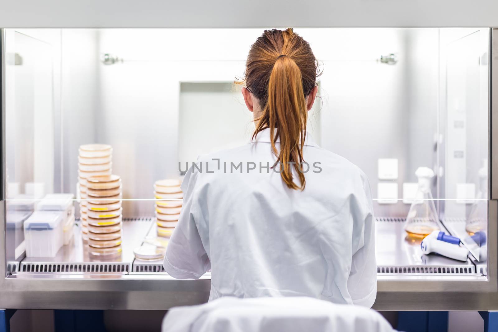 Female scientist working in corona virus vaccine development laboratory research facility. by kasto