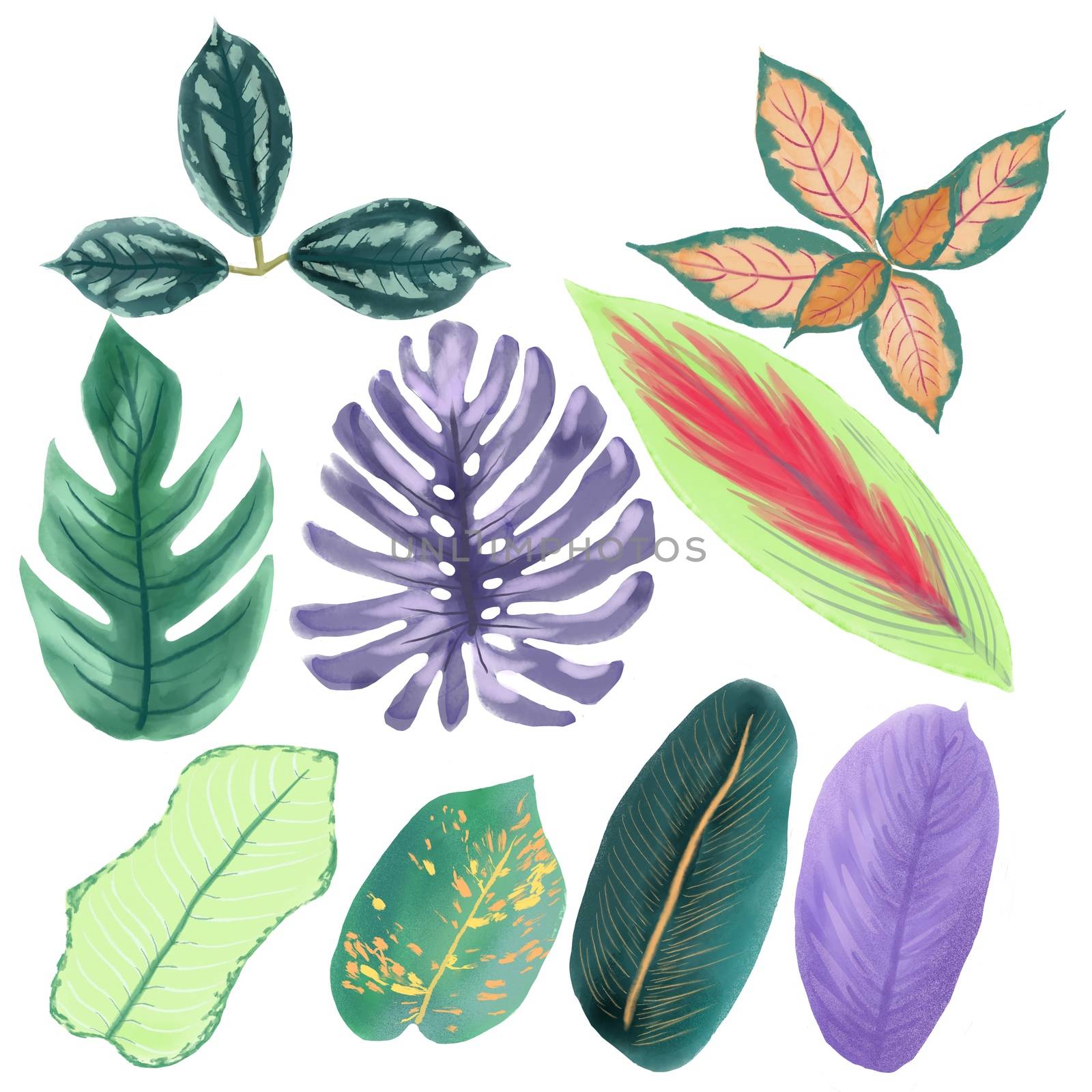 Hand drawn collection of tropical leaves isolated on white background. Watercolor Green nature exotic plants illustration.