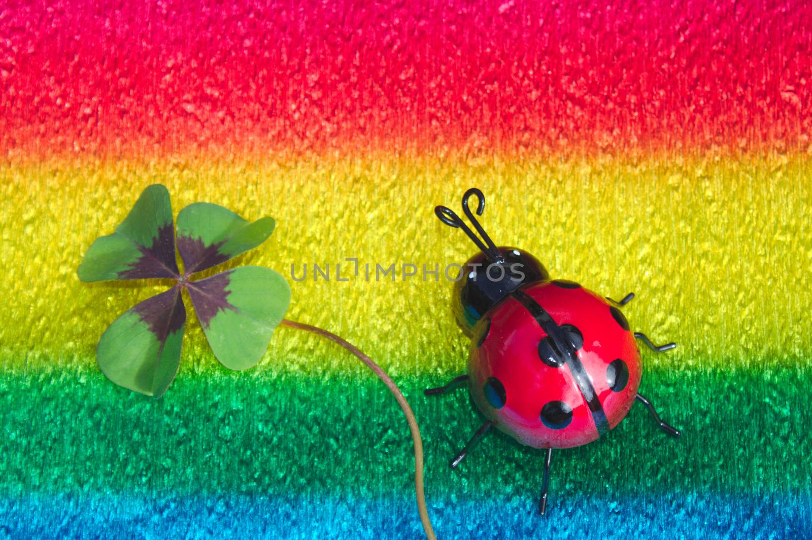 The picture shows a ladybird and lucky clover on colorful crepe paper