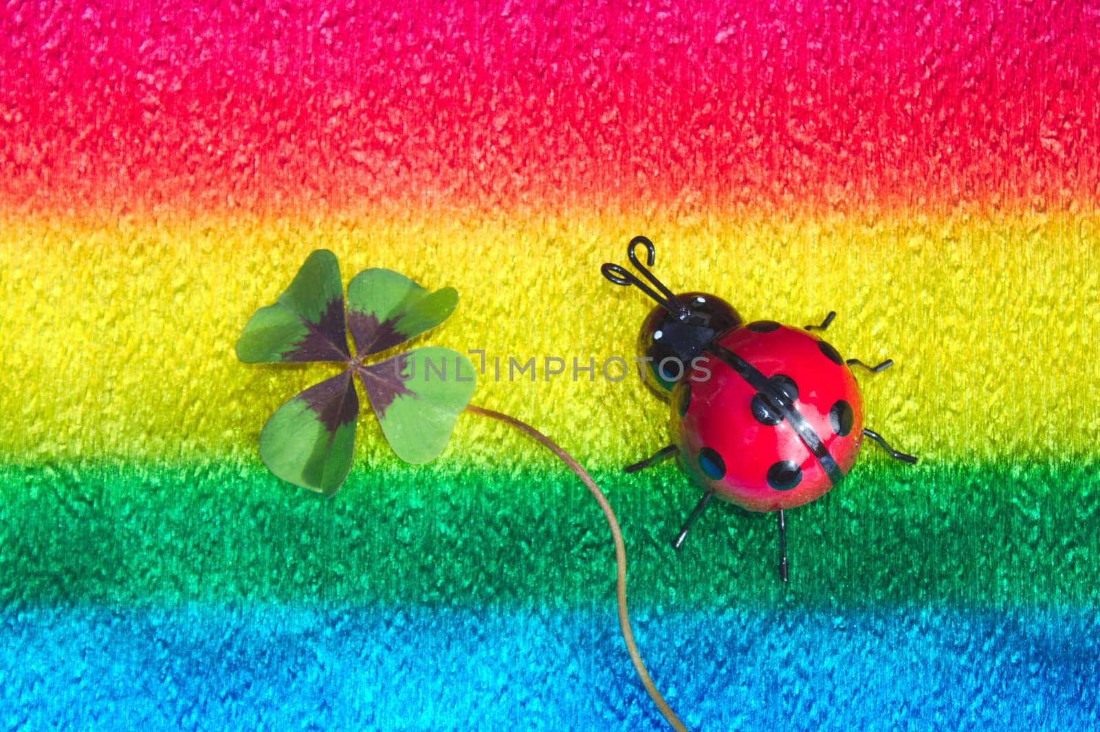 The picture shows a ladybird and lucky clover on colorful crepe paper