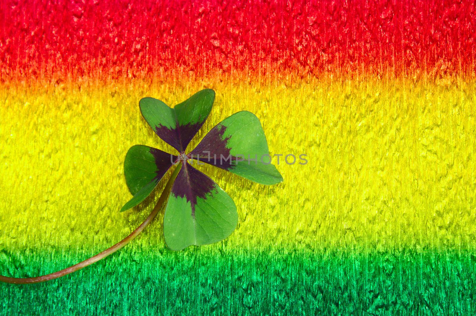 The picture shows lucky clover on colorful crepe paper