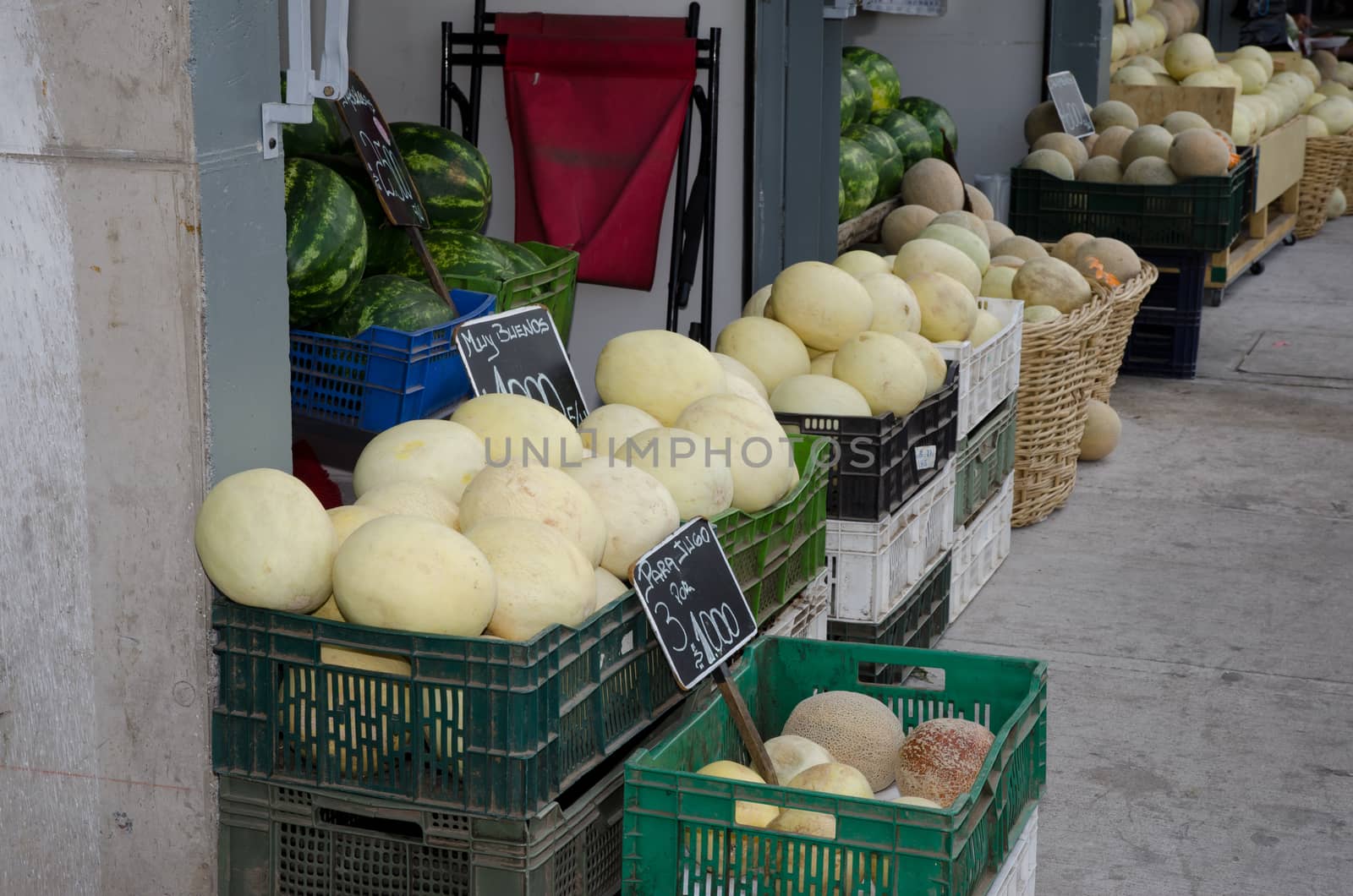 Market stalls of watermelons Citrullus lanatus in Santiago de Chile. by VictorSuarez