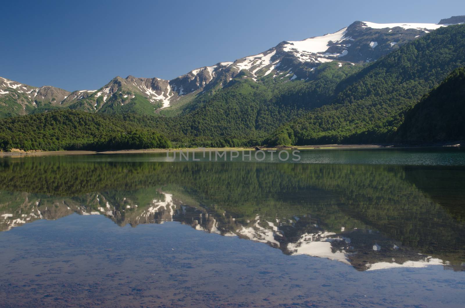 Cliffs and forest reflected on the Conguillio lake. Conguillio National Park. Araucania Region. Chile.