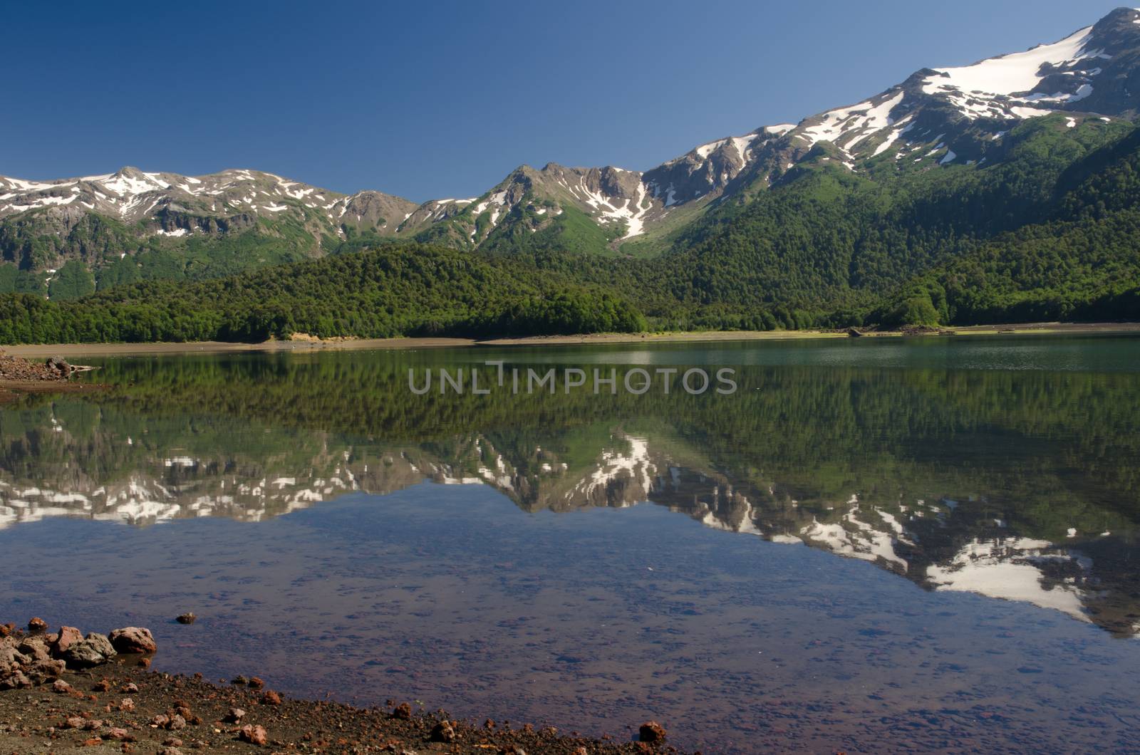 Cliffs and forest reflected on the Conguillio lake. by VictorSuarez