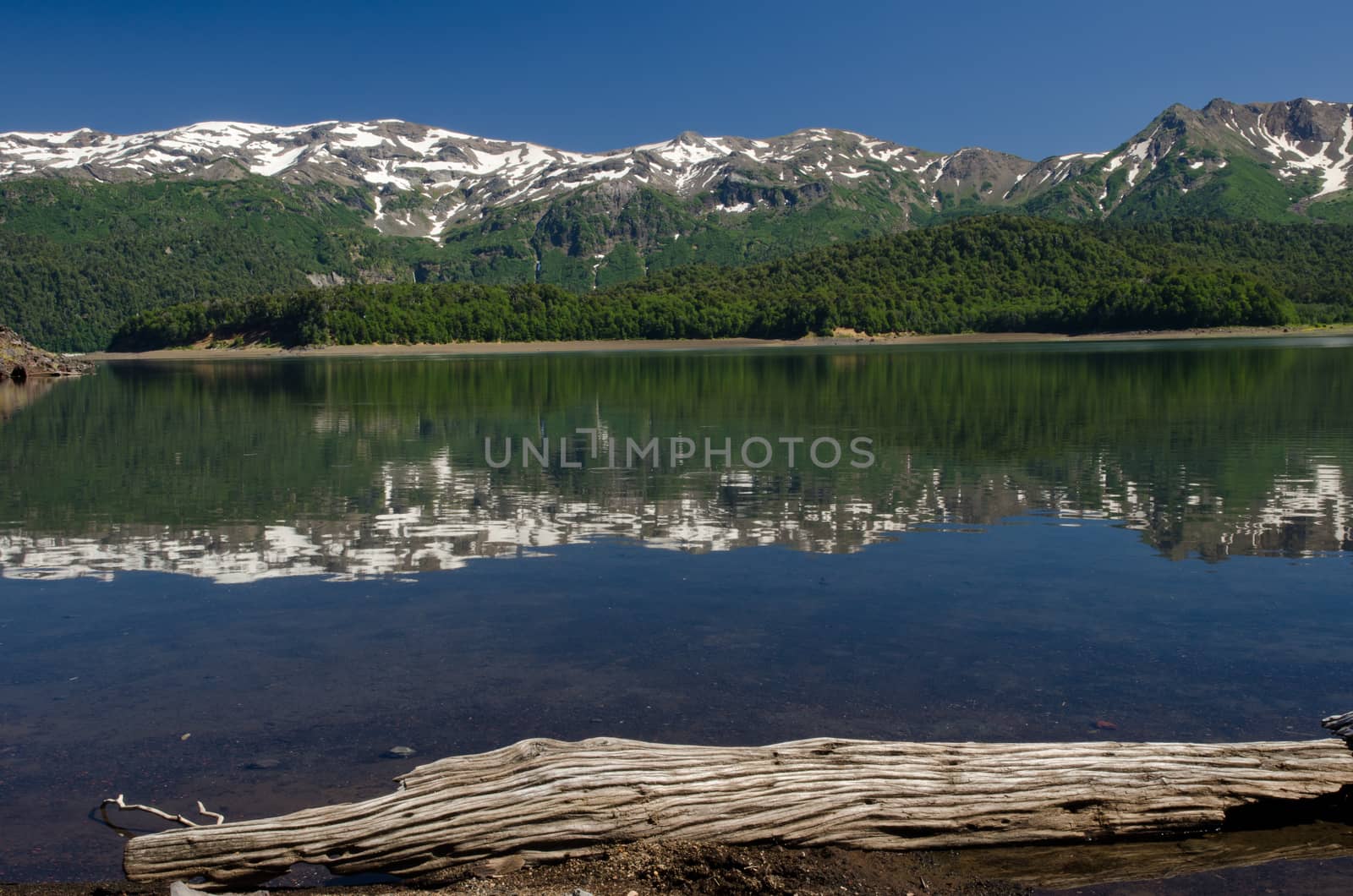 Cliffs and forest reflected on the Conguillio lake. Conguillio National Park. Araucania Region. Chile.