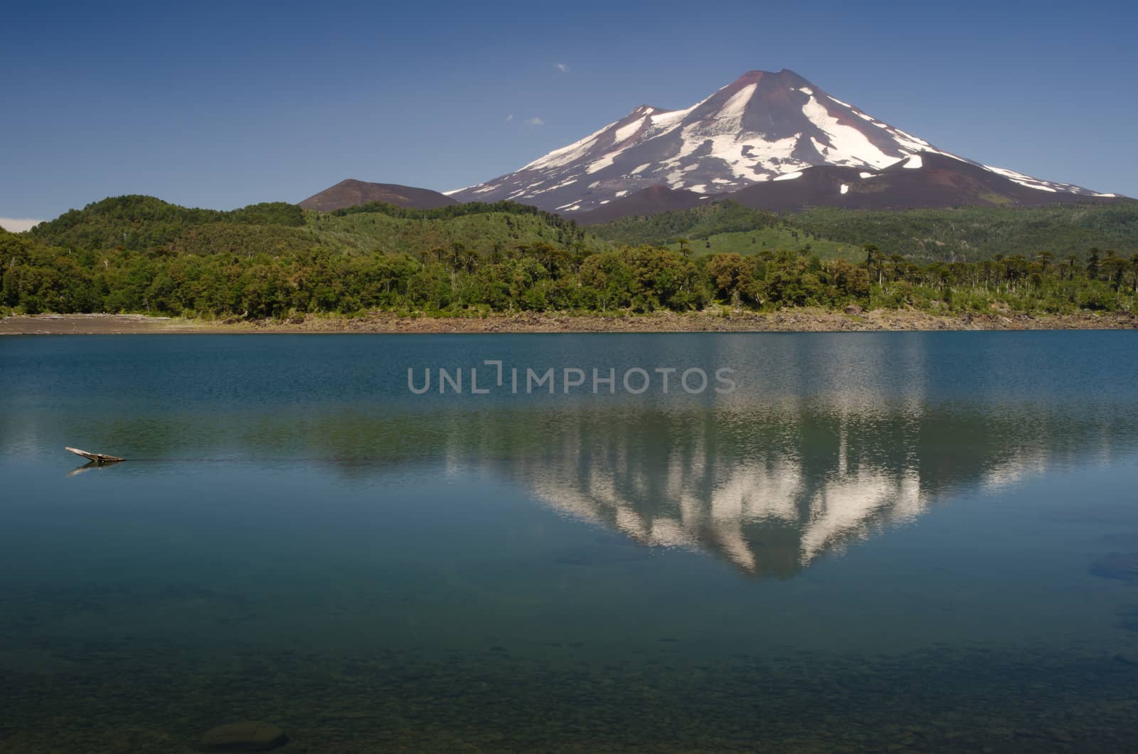 Llaima volcano reflected on the Conguillio lake. Conguillio National Park. Araucania Region. Chile.