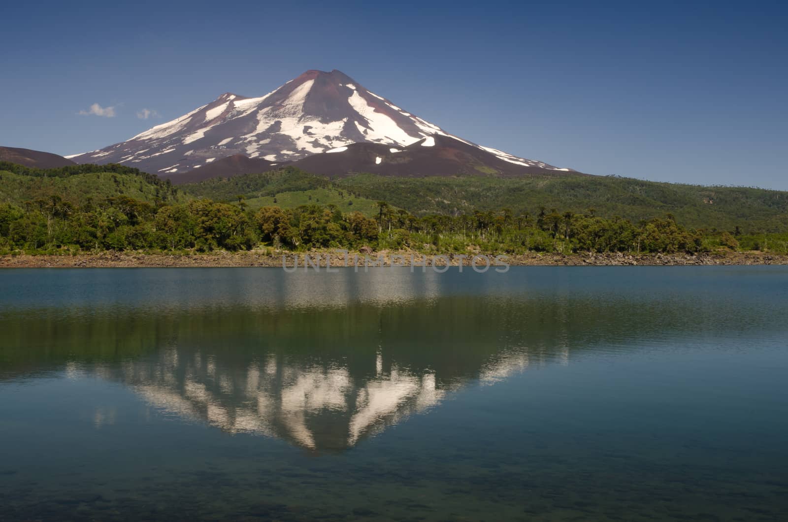 Llaima volcano reflected on the Conguillio lake. by VictorSuarez