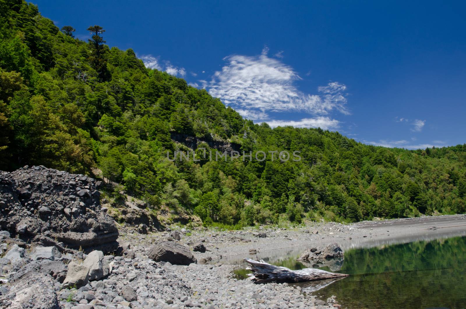 Conguillio lake in the Conguillio National Park. Araucania Region. Chile.