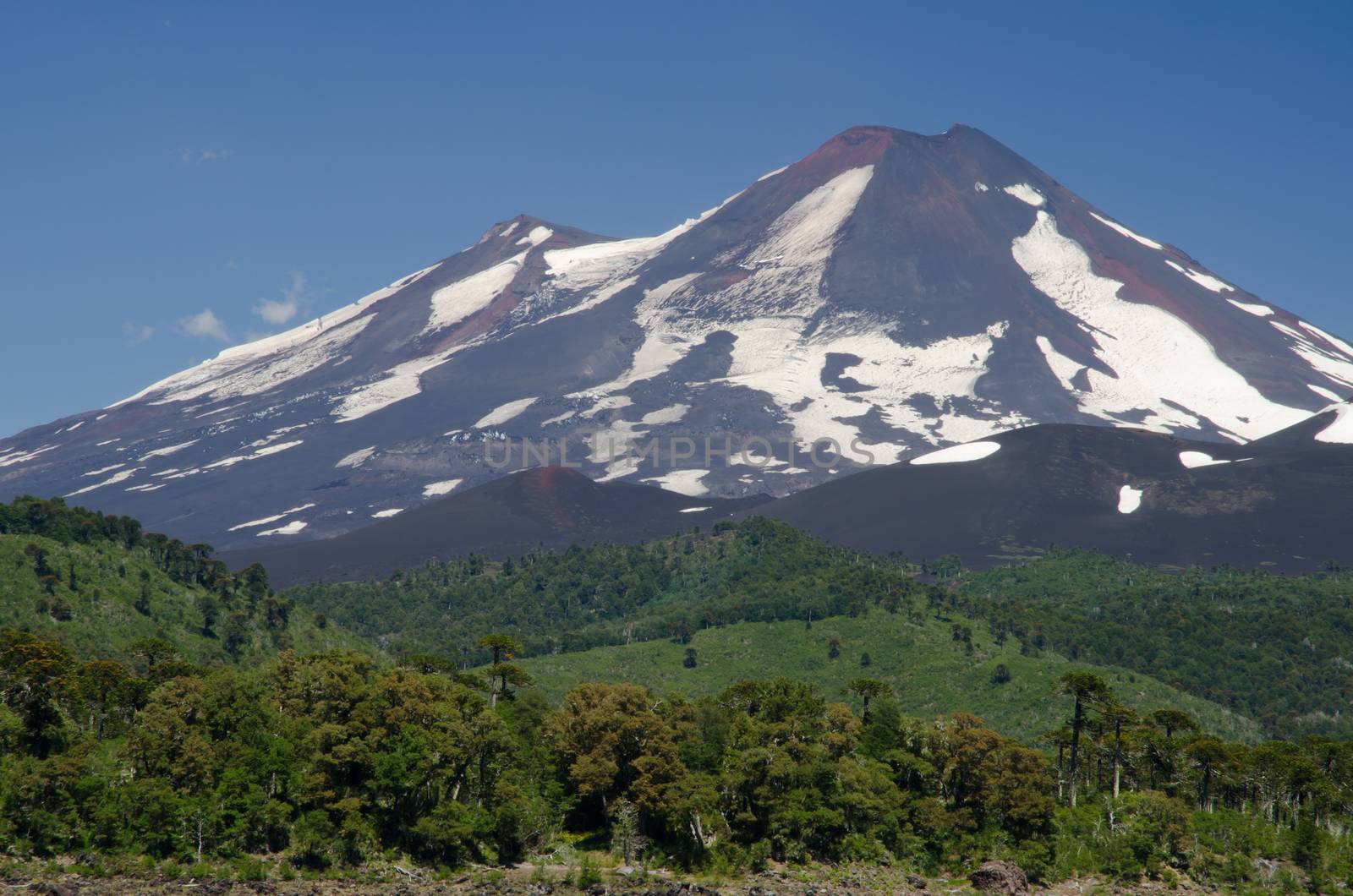 Llaima volcano in the Conguillio National Park. Araucania Region. Chile.