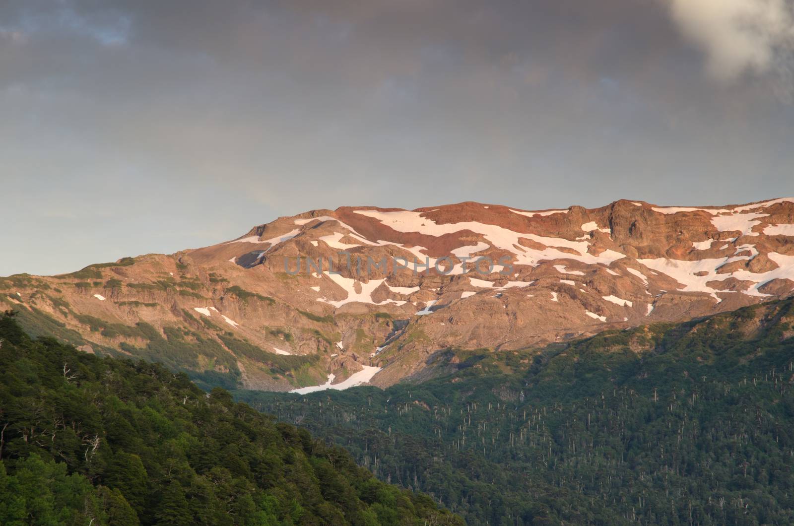 Mountain range and forest in the Conguillio National Park. by VictorSuarez